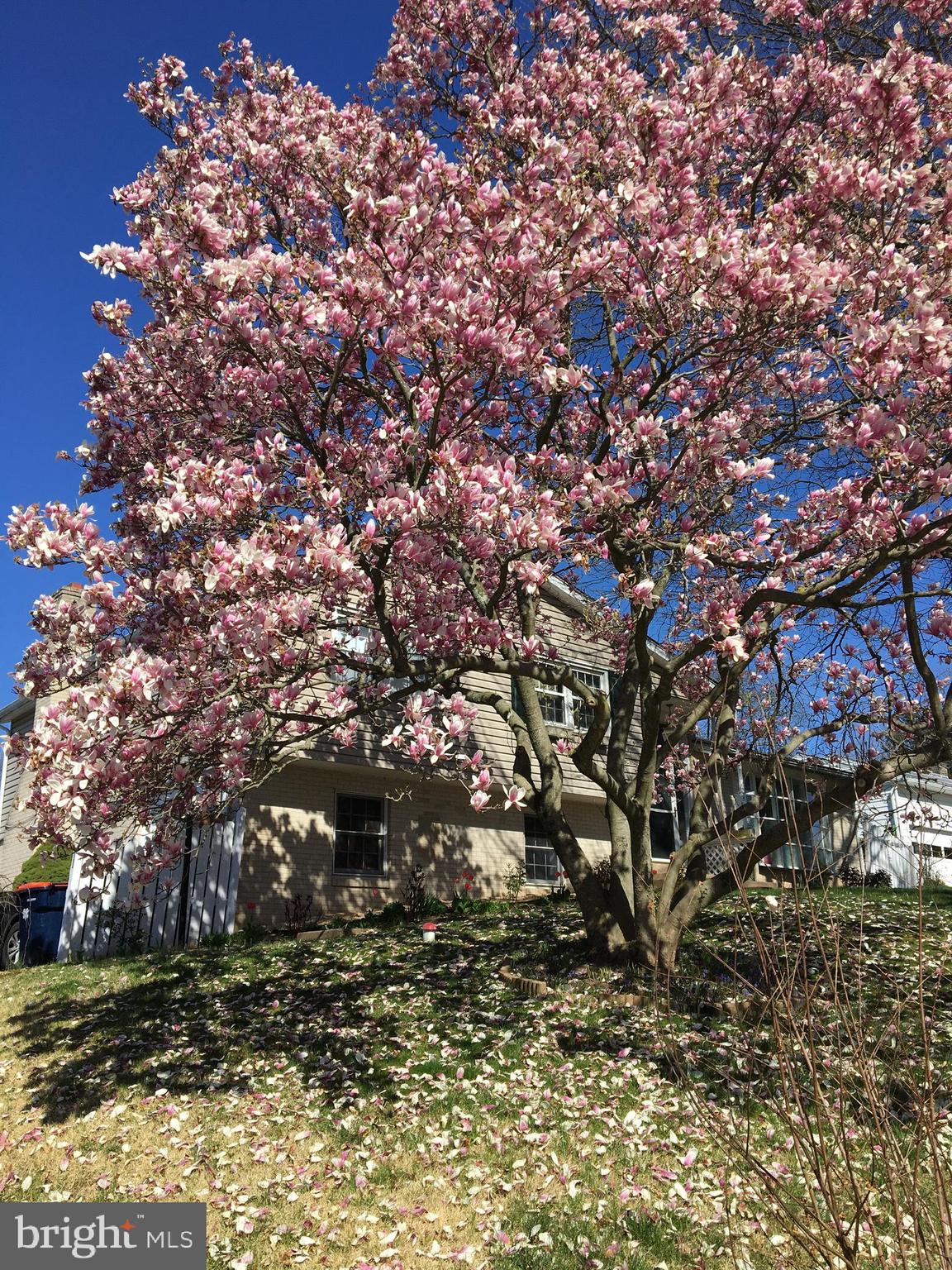 WESTOVER WOODS - Residential