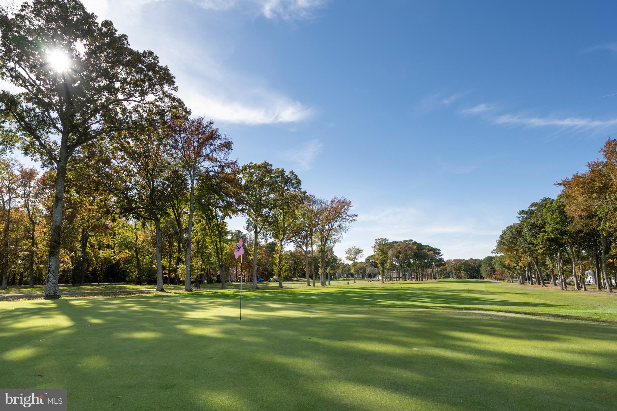 OCEAN PINES - TEAL BAY - Residential