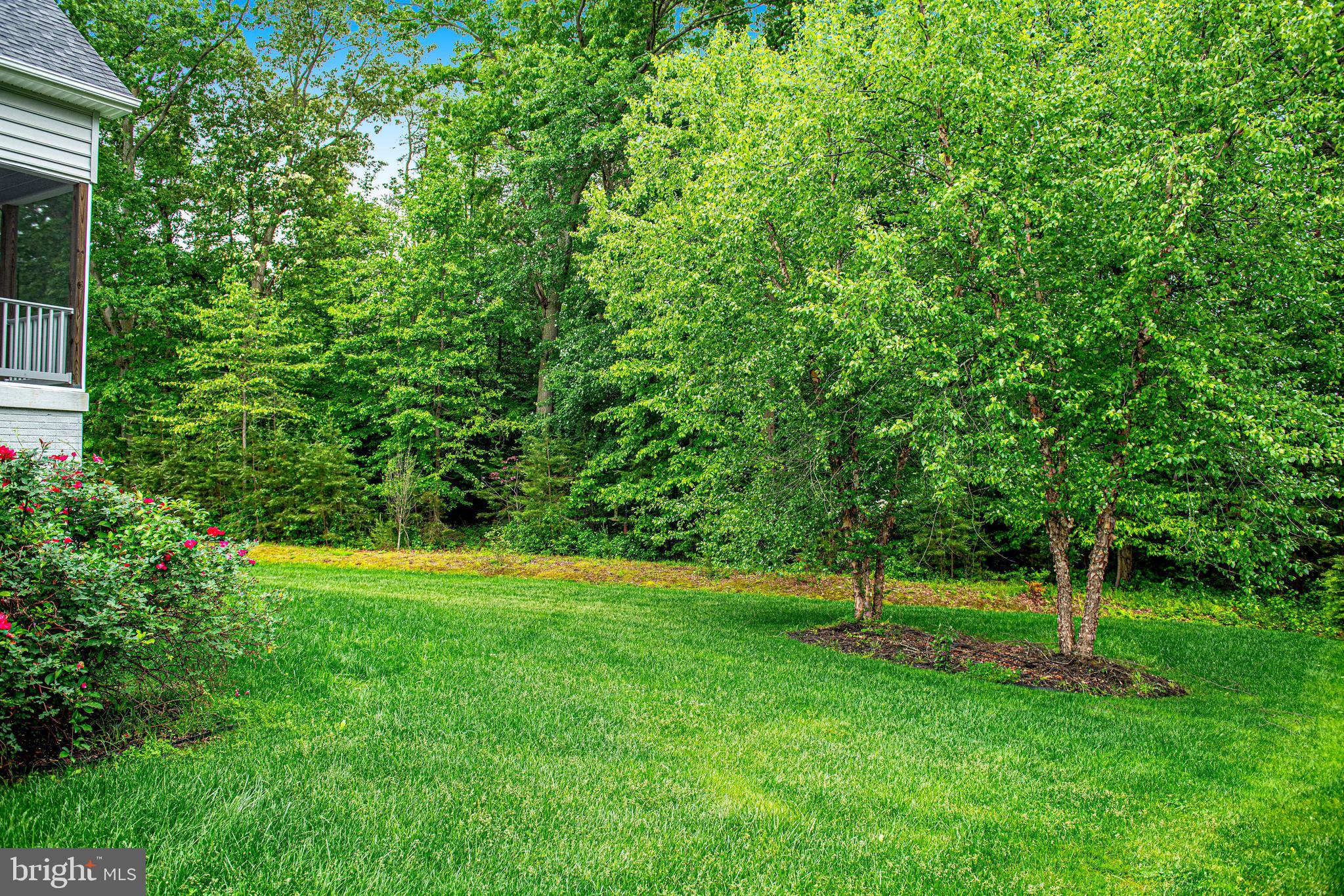 CHESAPEAKE CLUB - Residential