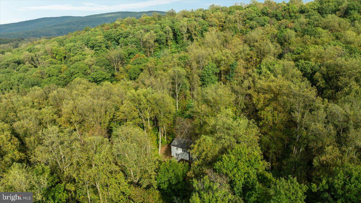 SHEN FARMS MT VIEW - Residential