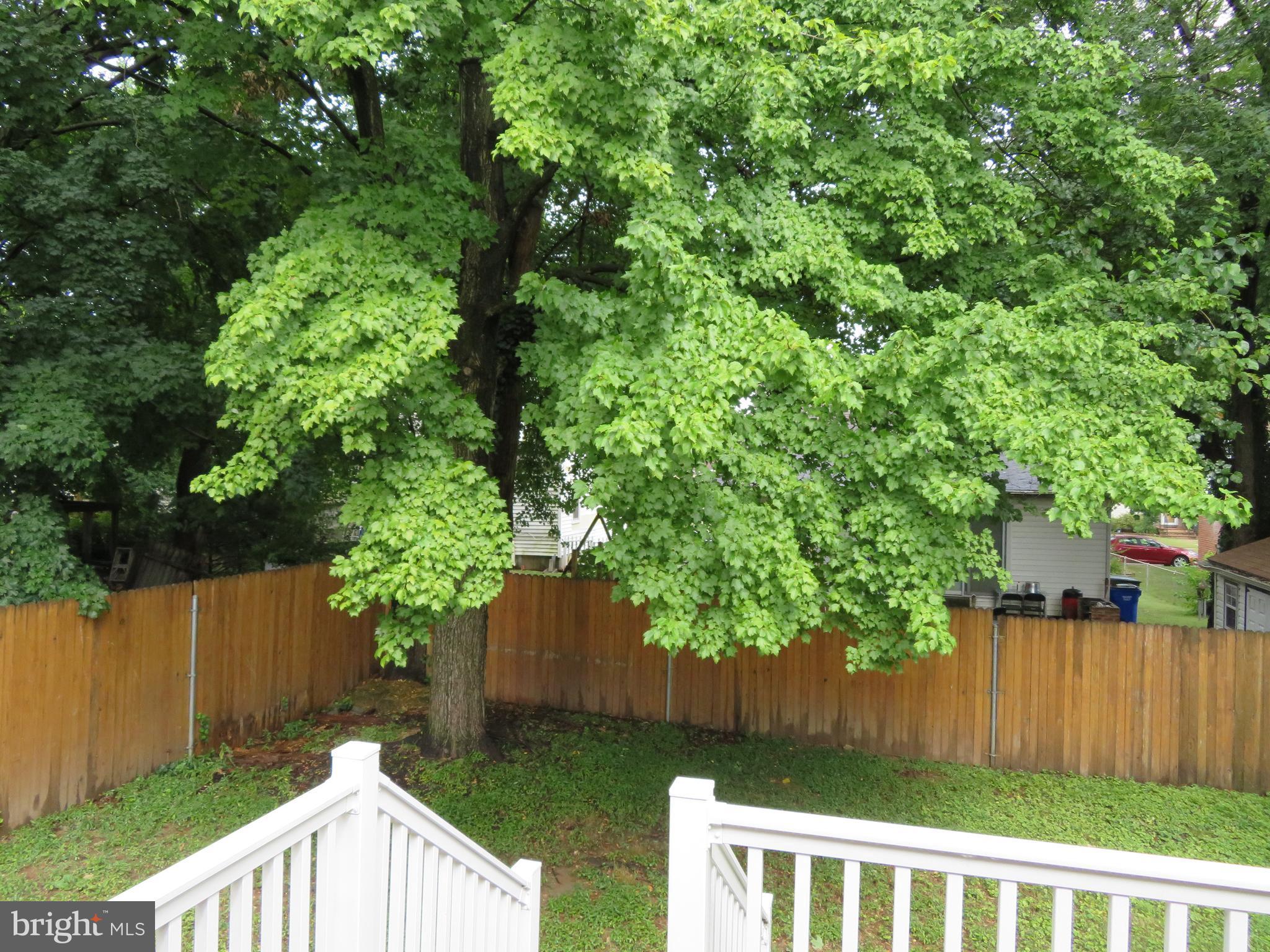 HOLLYWOOD - Residential Lease