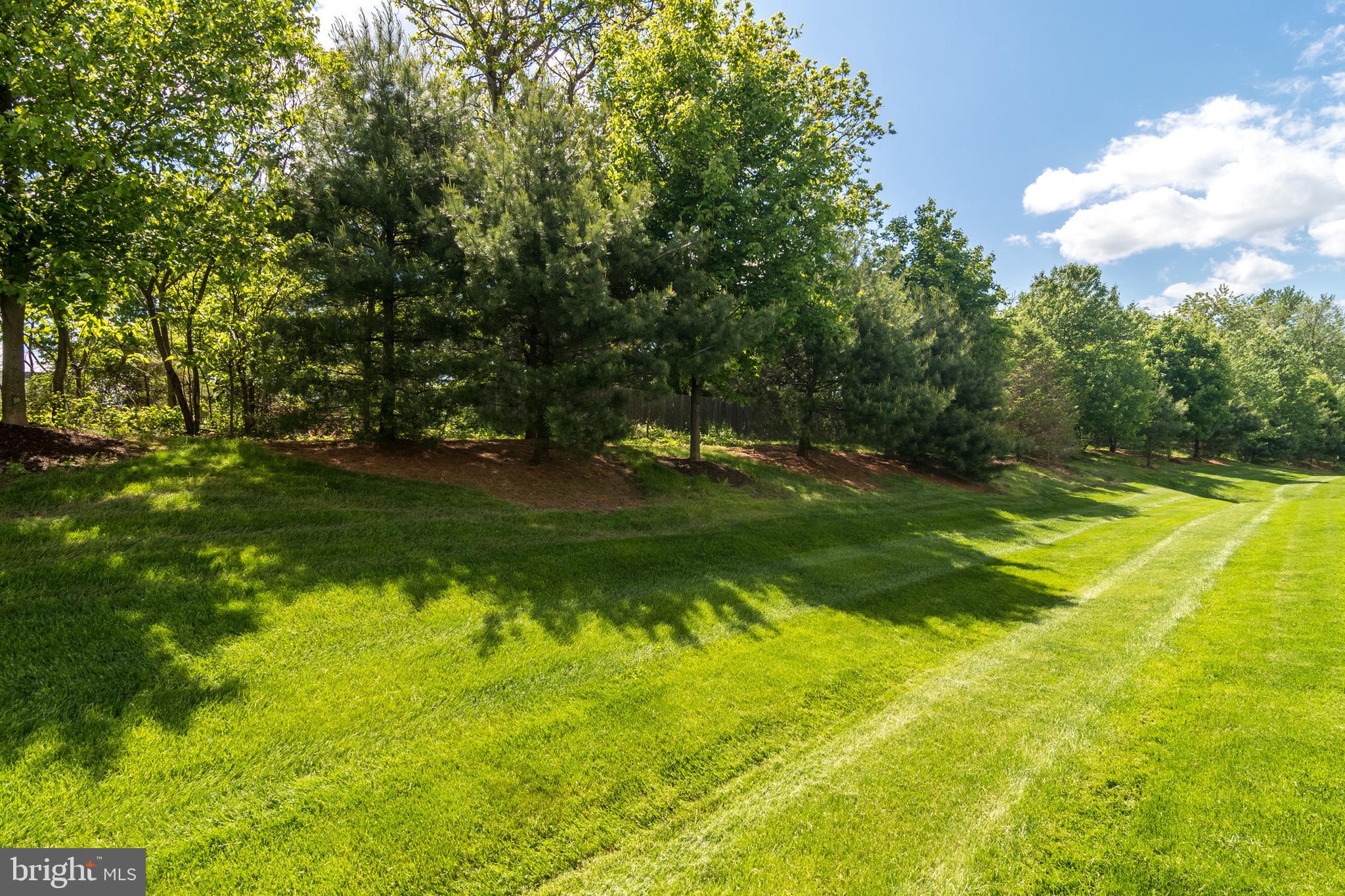 ARBOR POINT - Residential