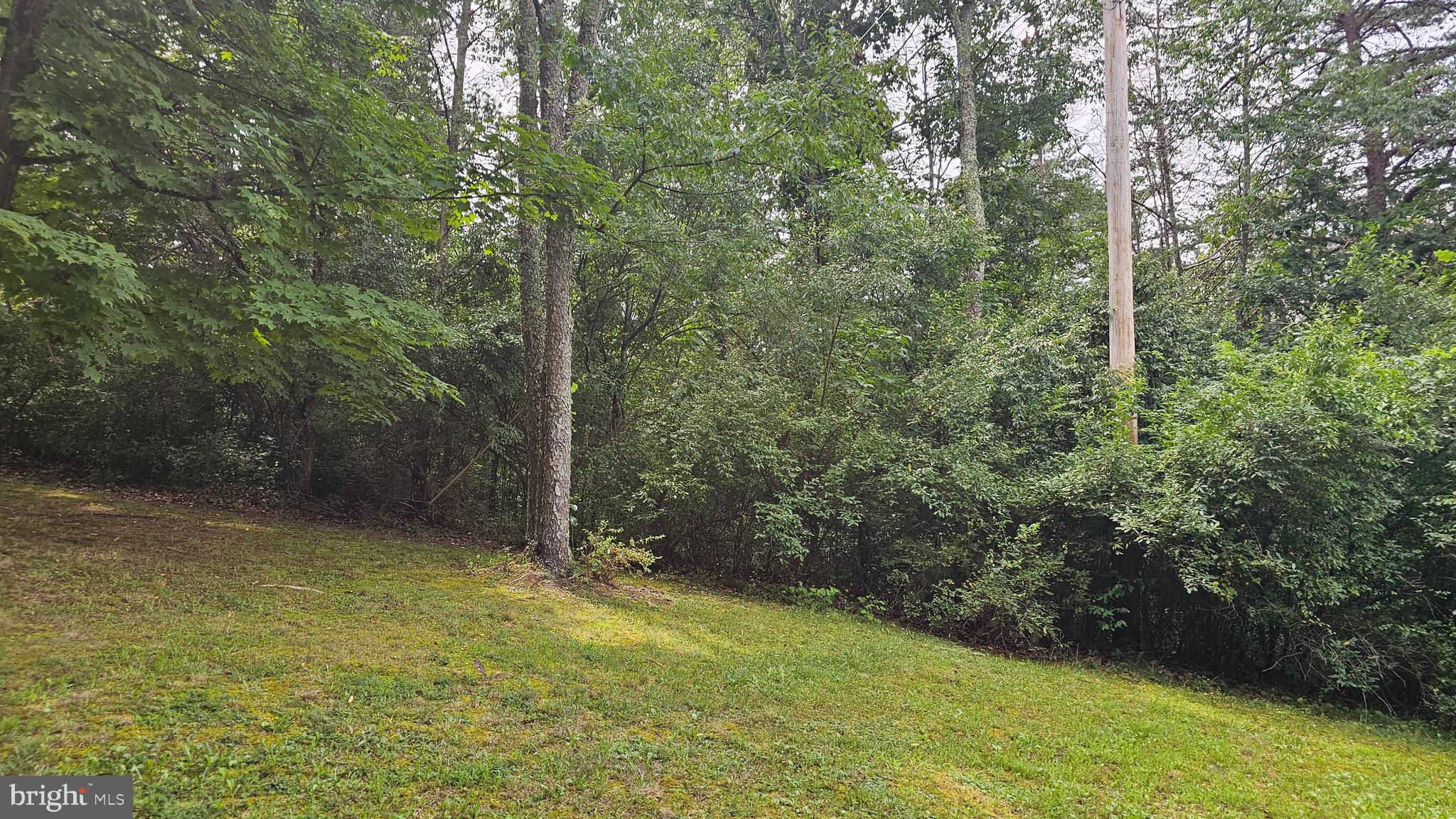 11 WISTERIA RIDGE ROAD