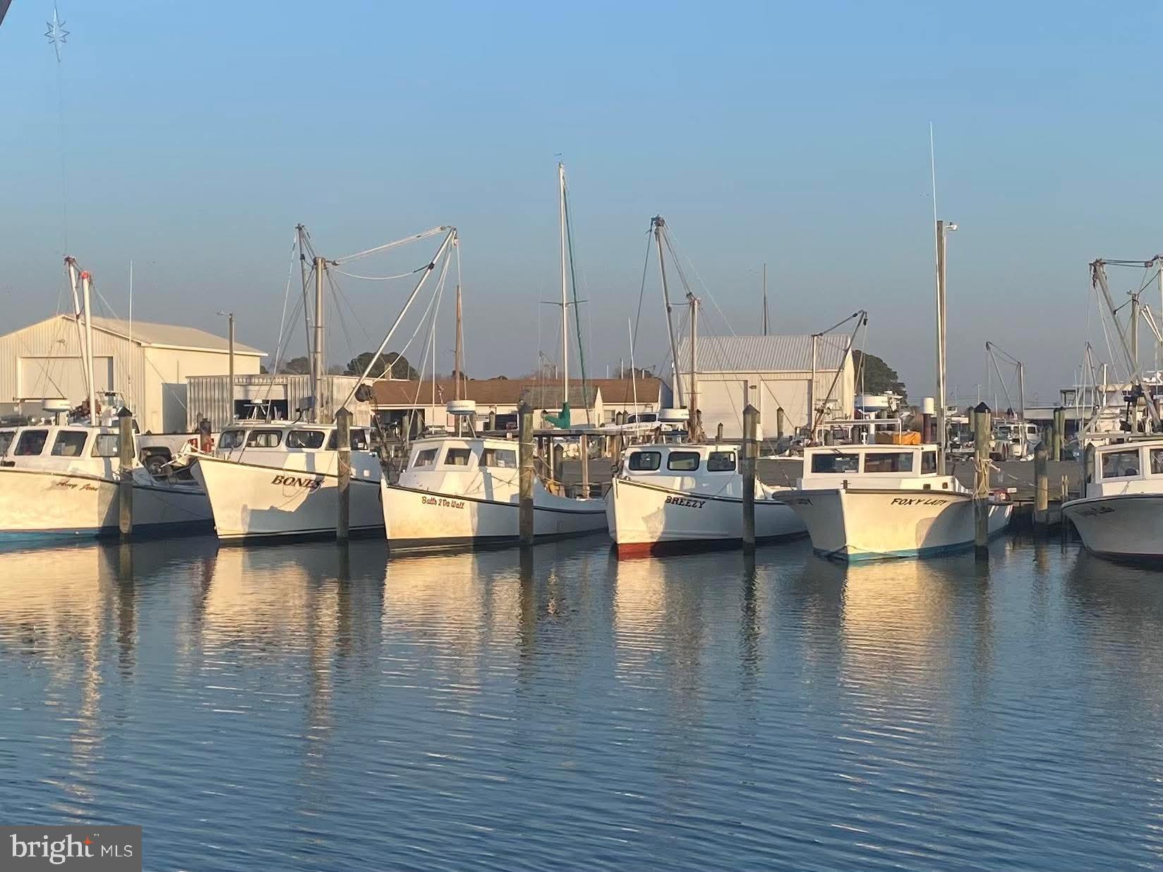 23258 HASTINGS DRIVE