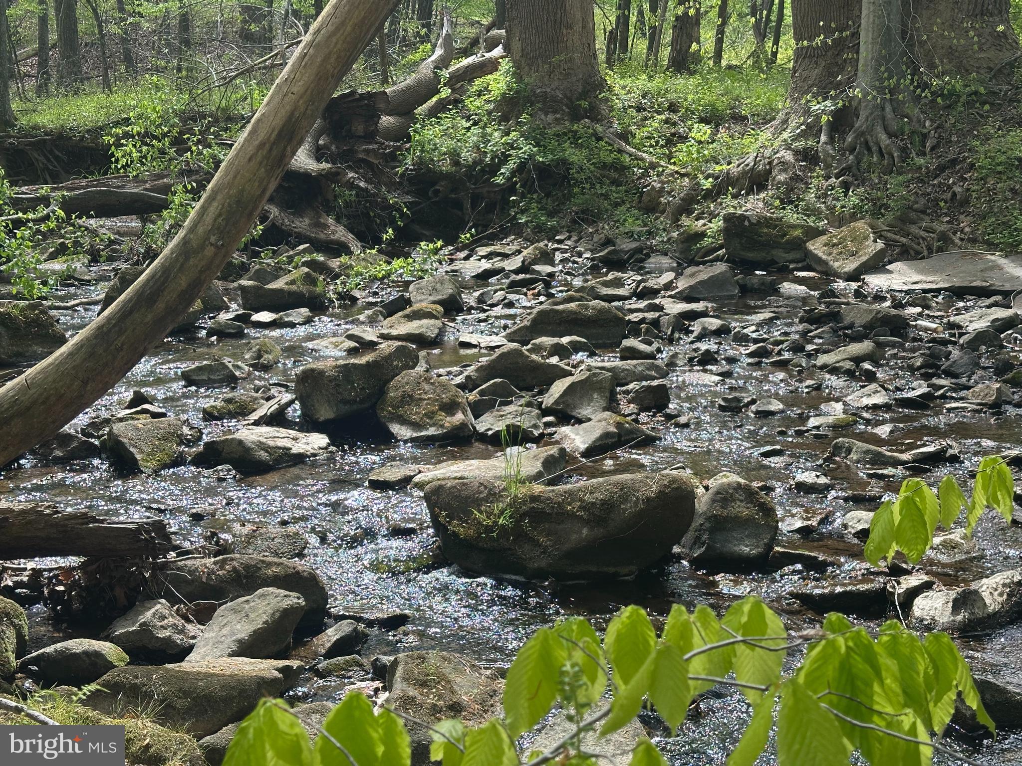 DELLABROOKE FOREST - Residential