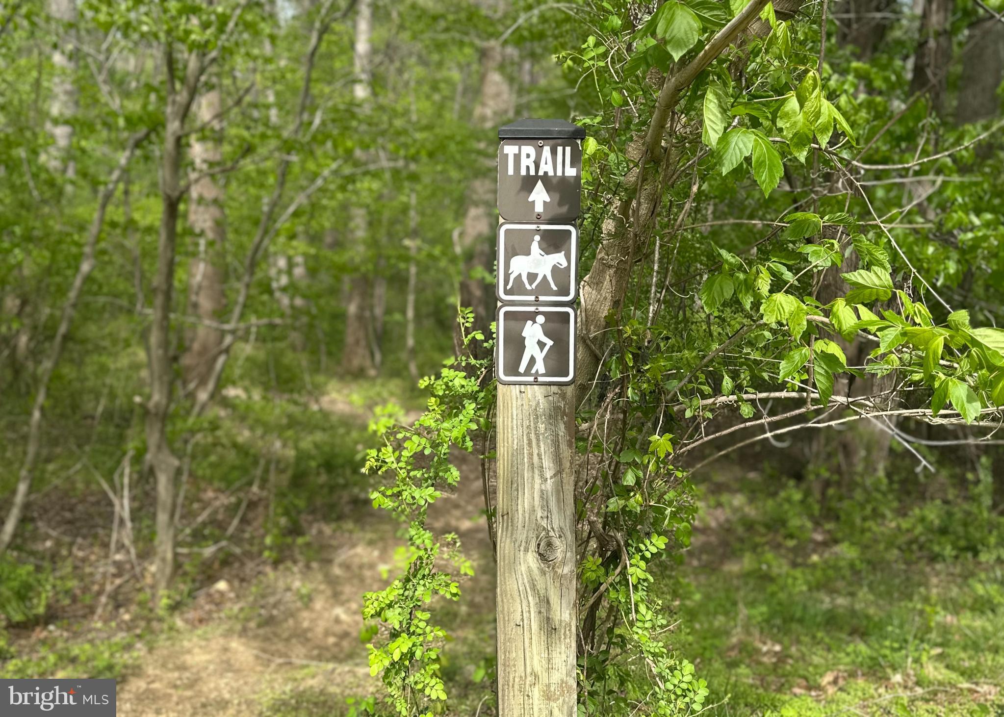 DELLABROOKE FOREST - Residential