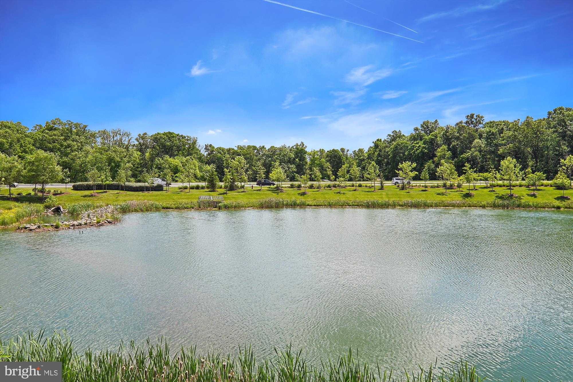 BIRCHWOOD AT BRAMBLETON - Residential