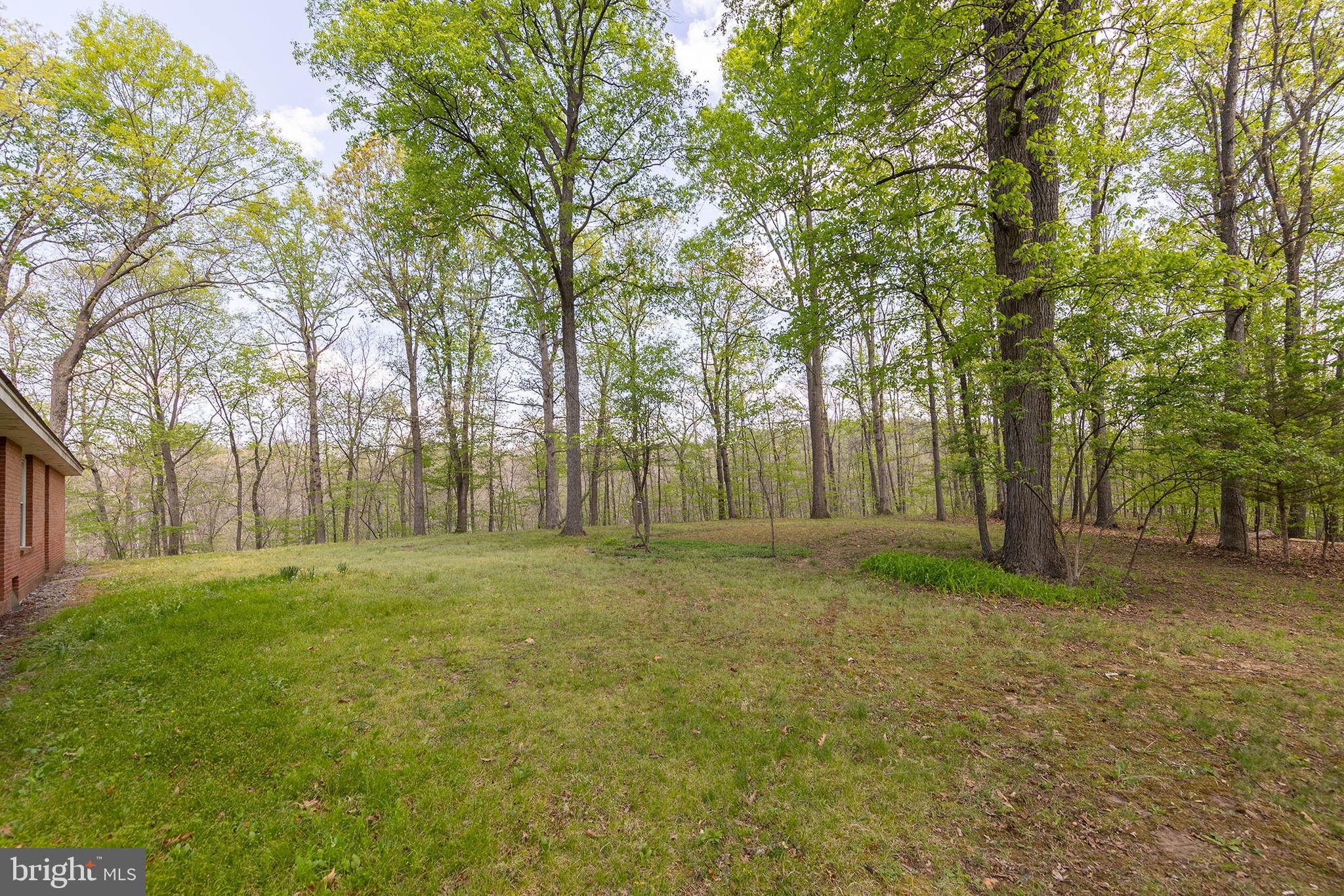 WOODS MILL - Residential