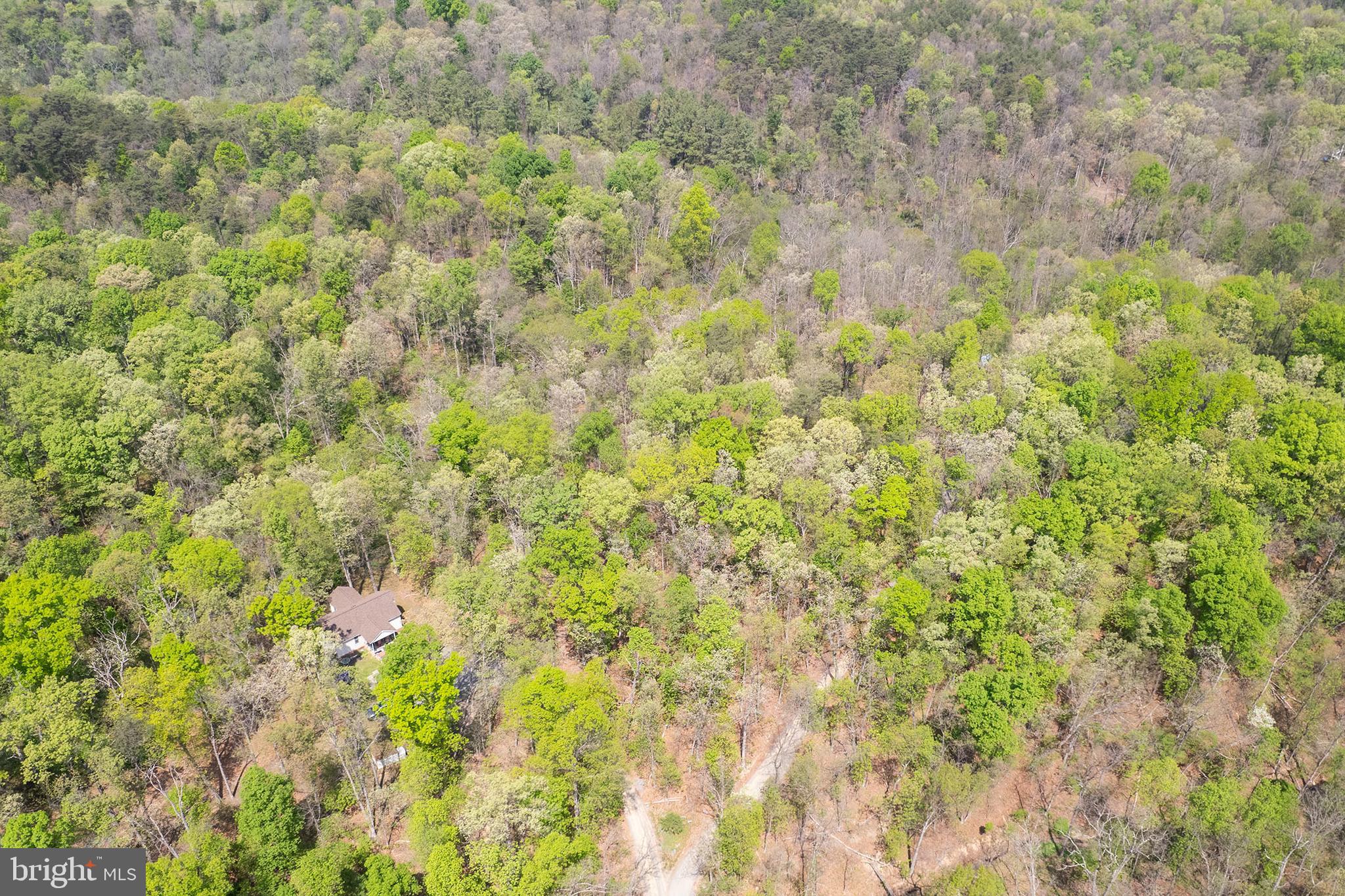 WOODS MILL - Residential