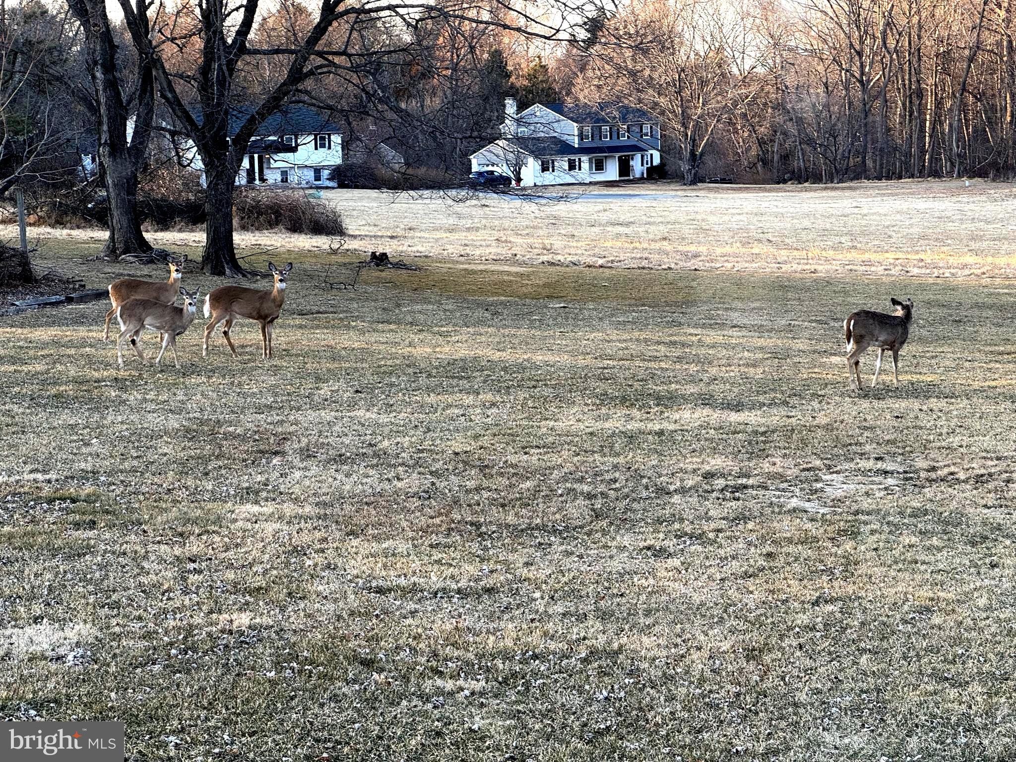 HAMORTON WOODS - Residential