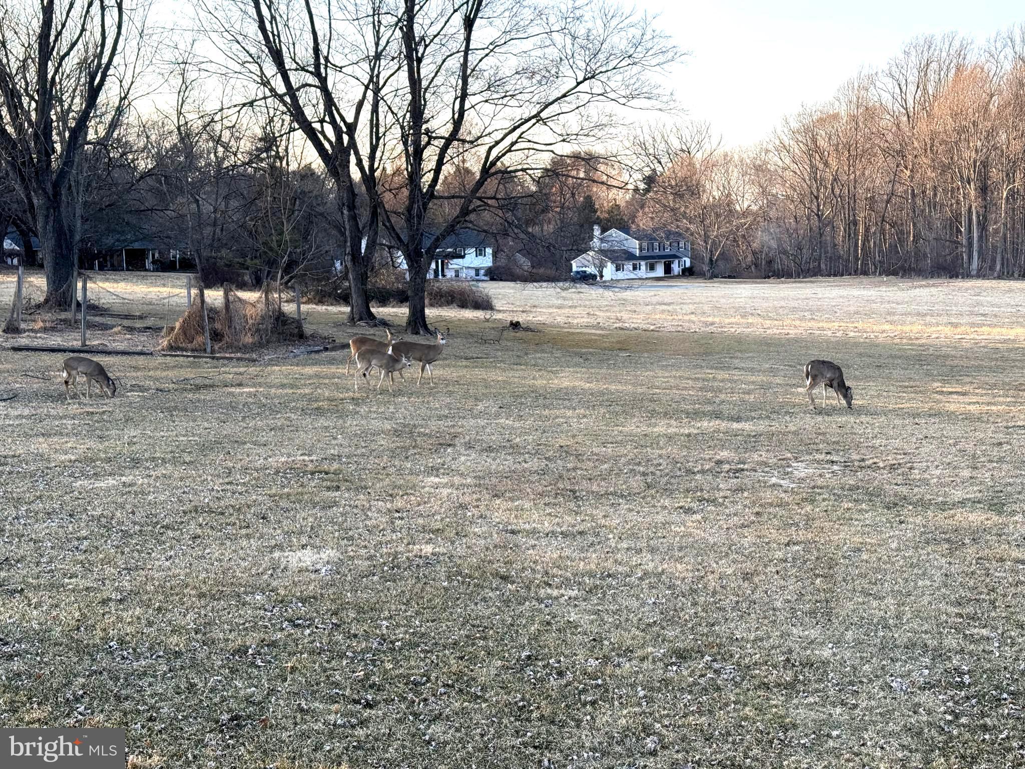 HAMORTON WOODS - Residential