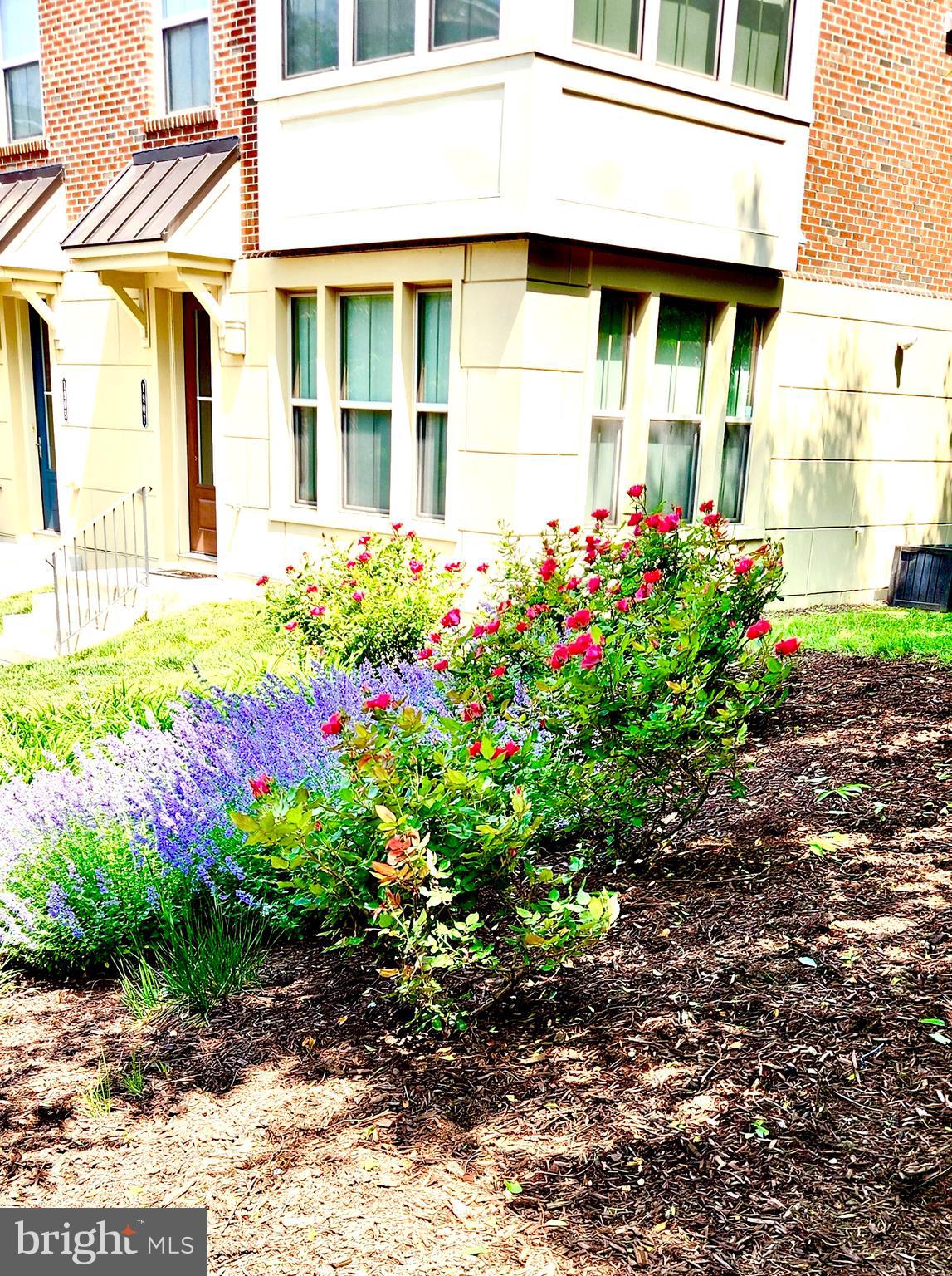 LOCUST POINT - Residential