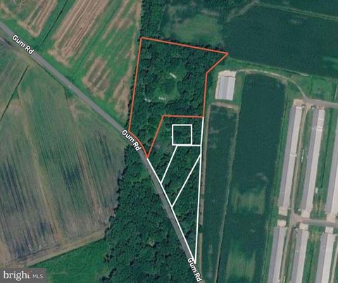 Vacant Land For Sale - Gum Rd<br/> FRANKFORD, DE 19975