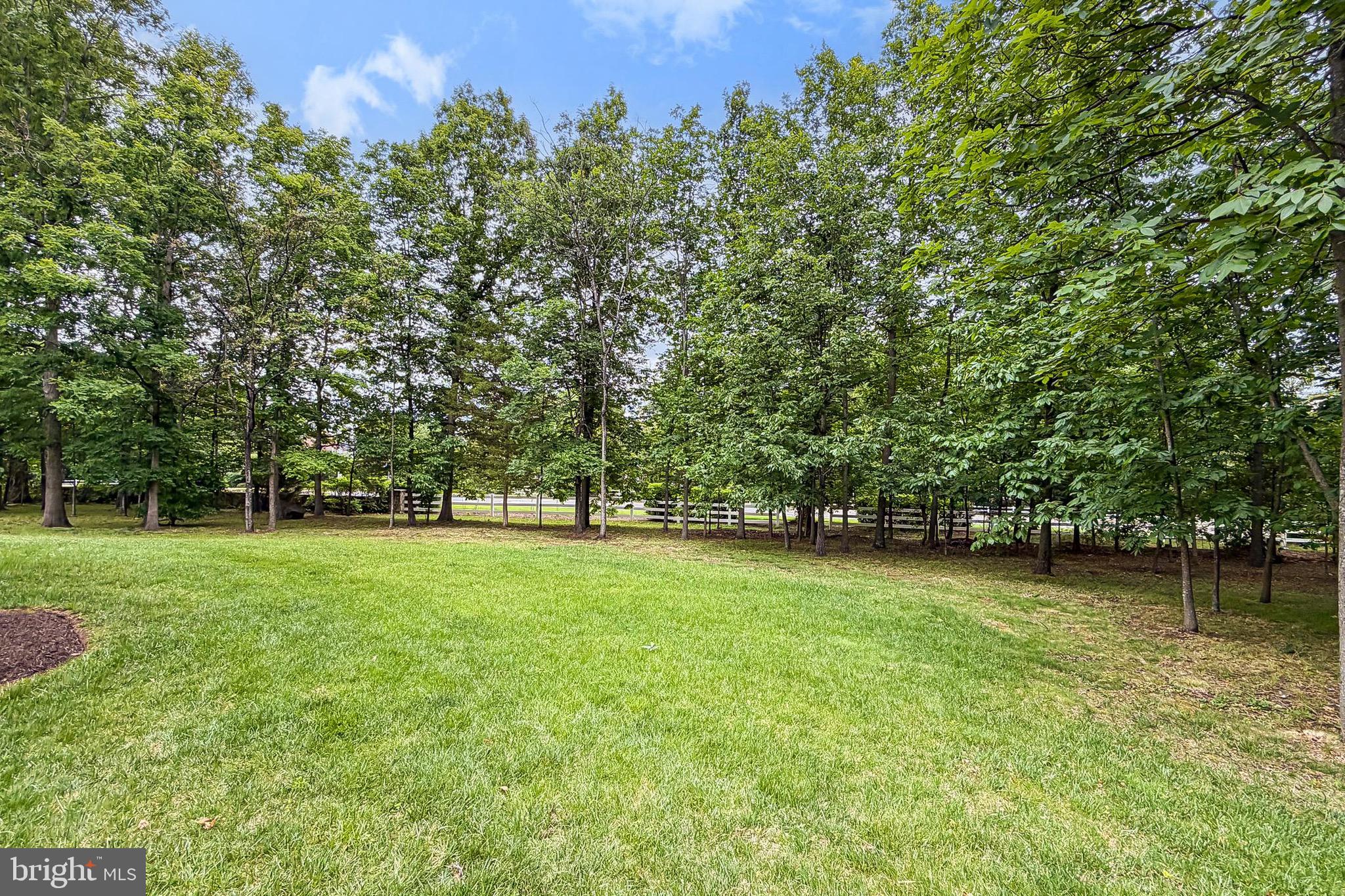 RIDINGS AT VIRGINIA RUN - Residential