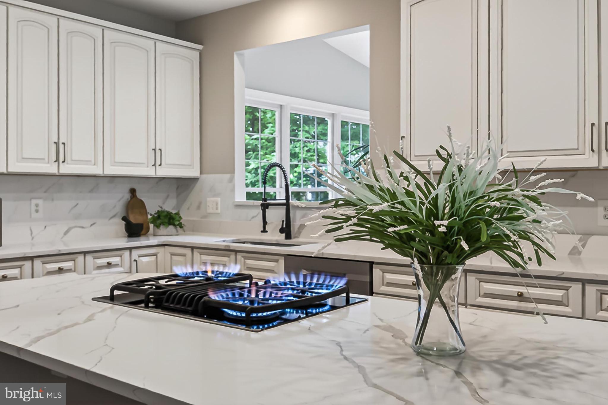 RIDINGS AT VIRGINIA RUN - Residential