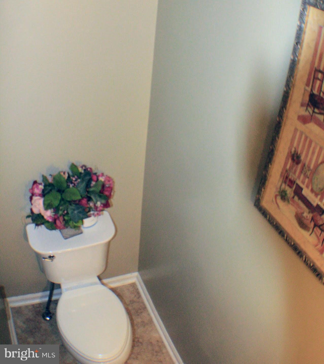 WILLIAMSTOWN - Residential