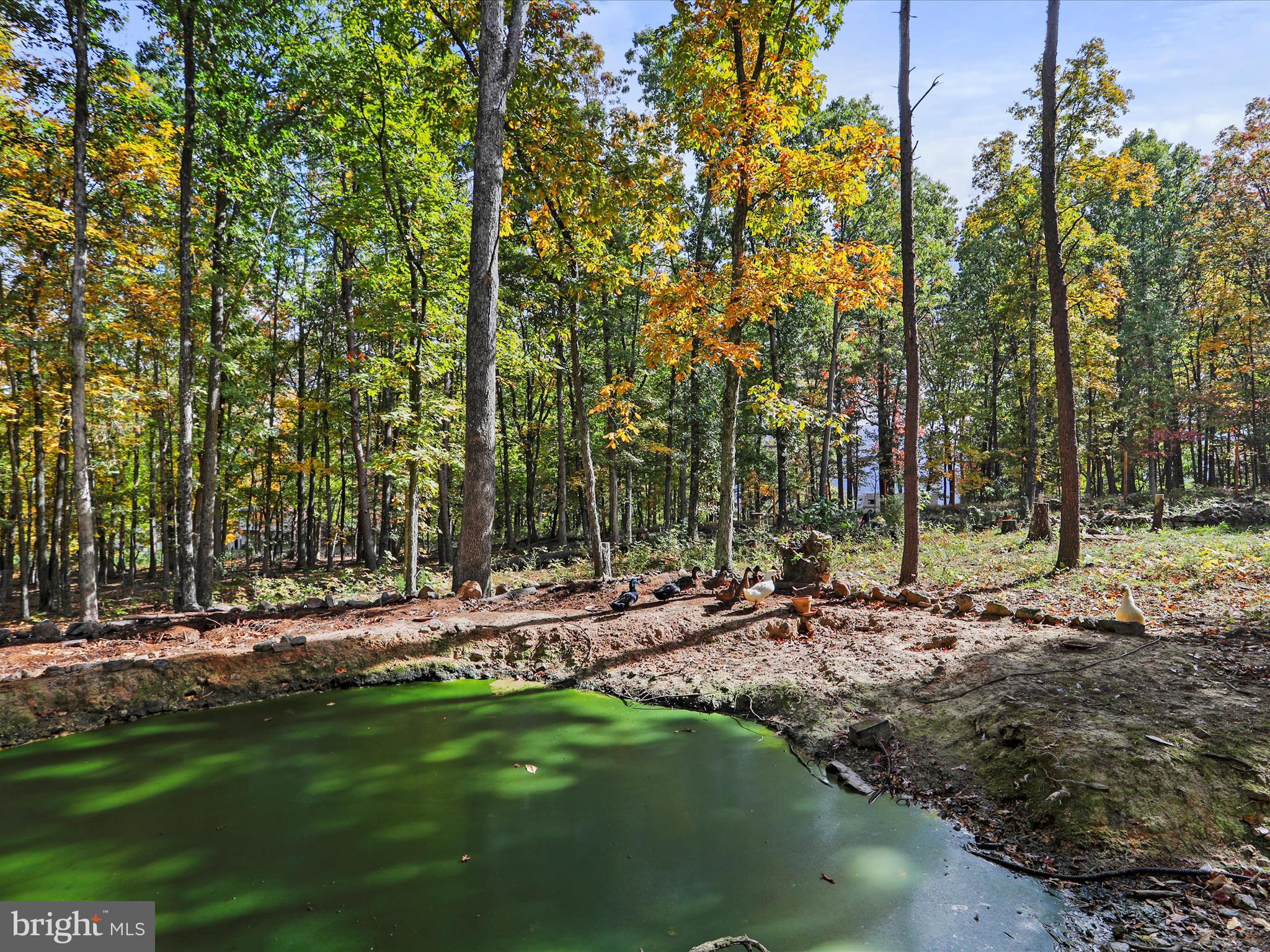 POTOMAC ISLAND RIDGE - Residential