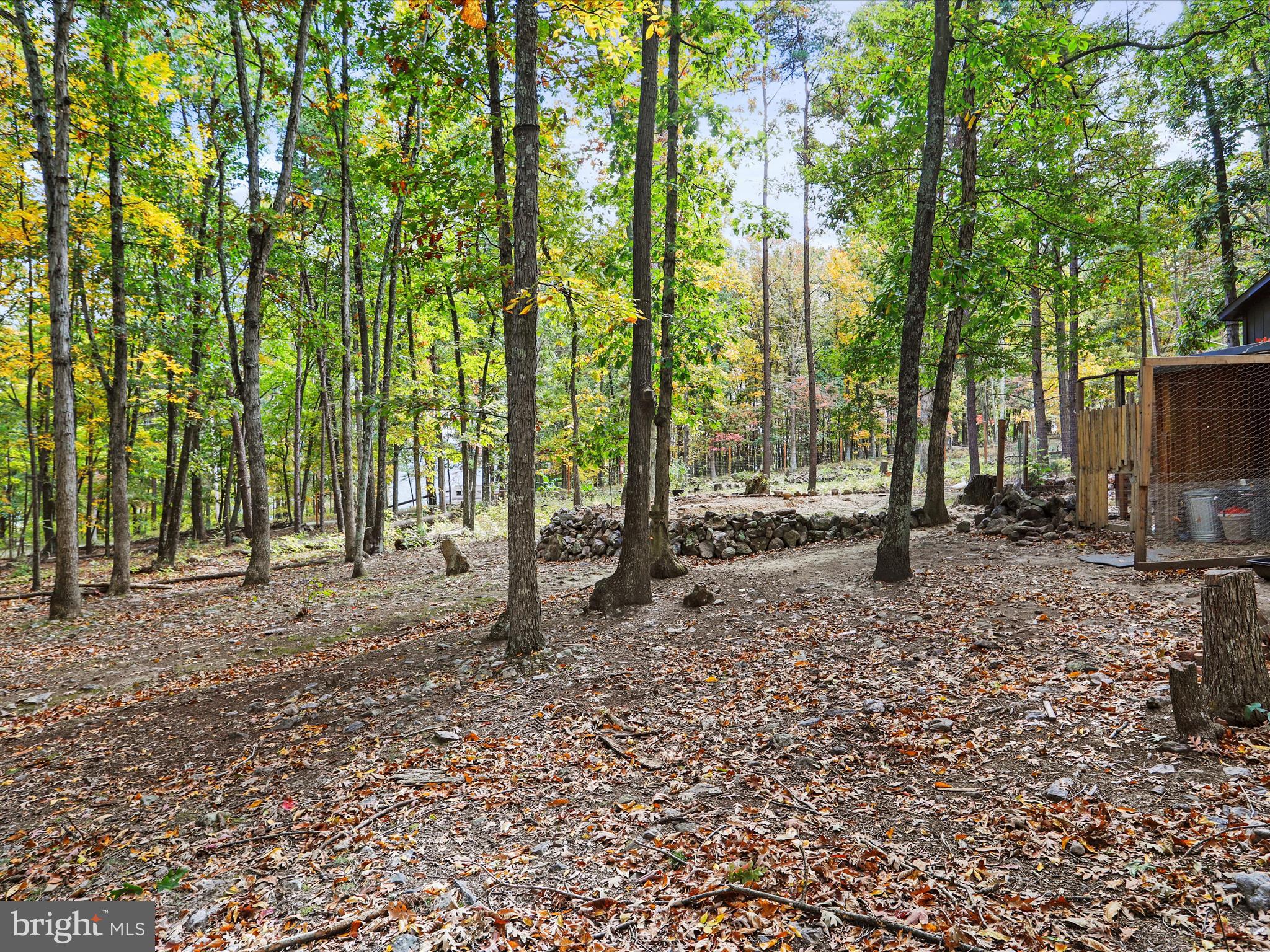 POTOMAC ISLAND RIDGE - Residential