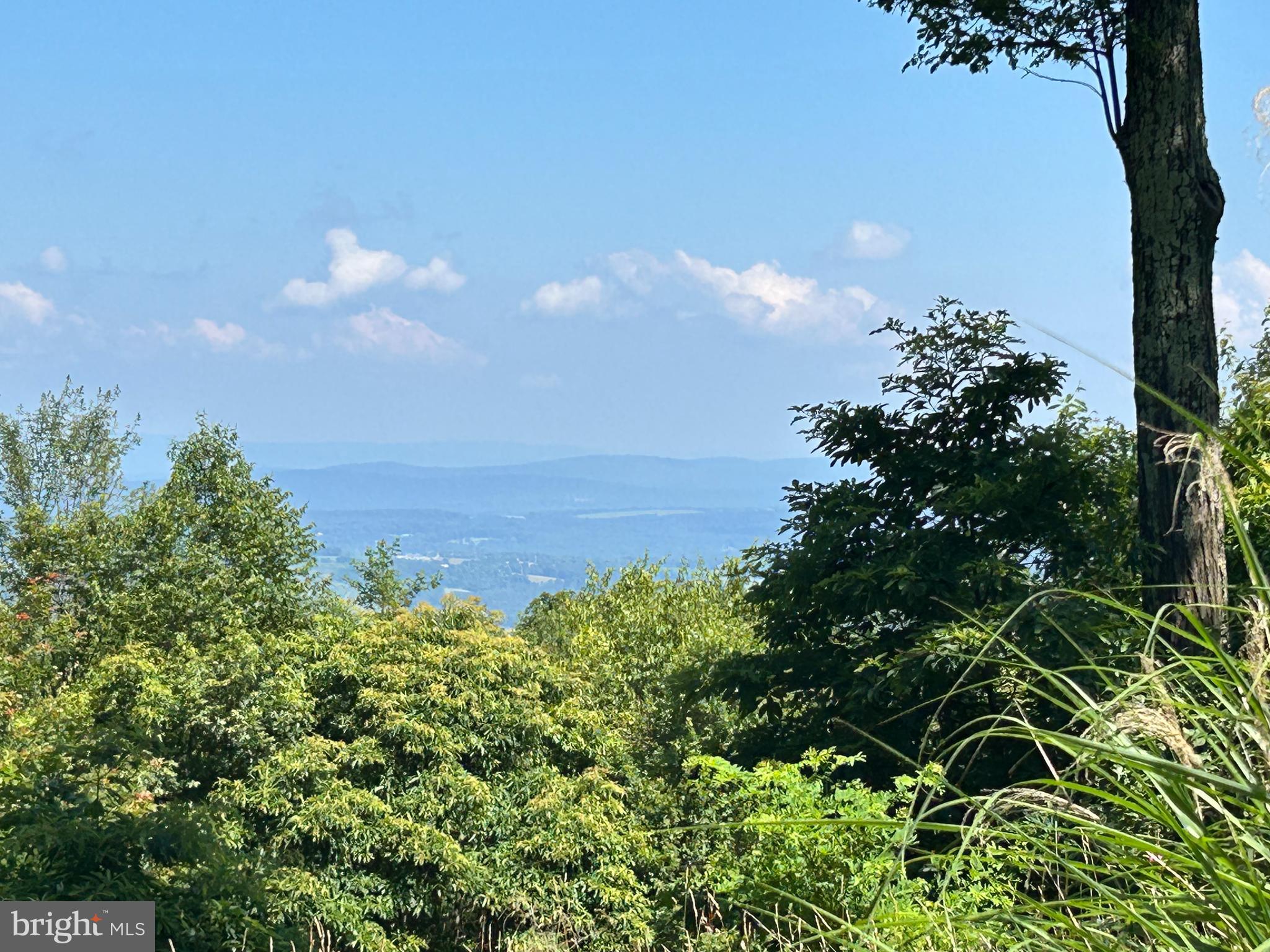 951 BOBCAT TRAIL