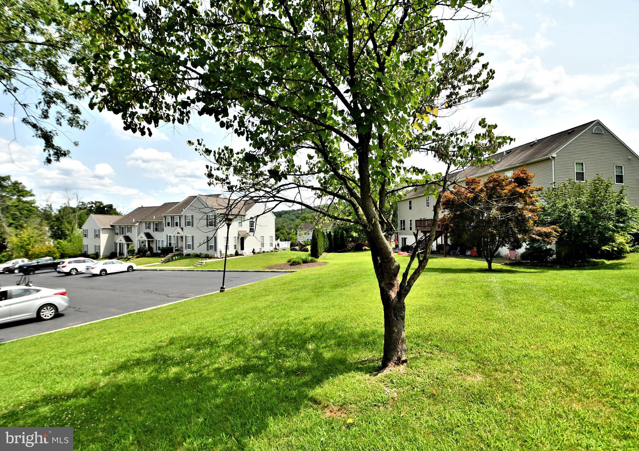 SPRING MOUNT - Residential