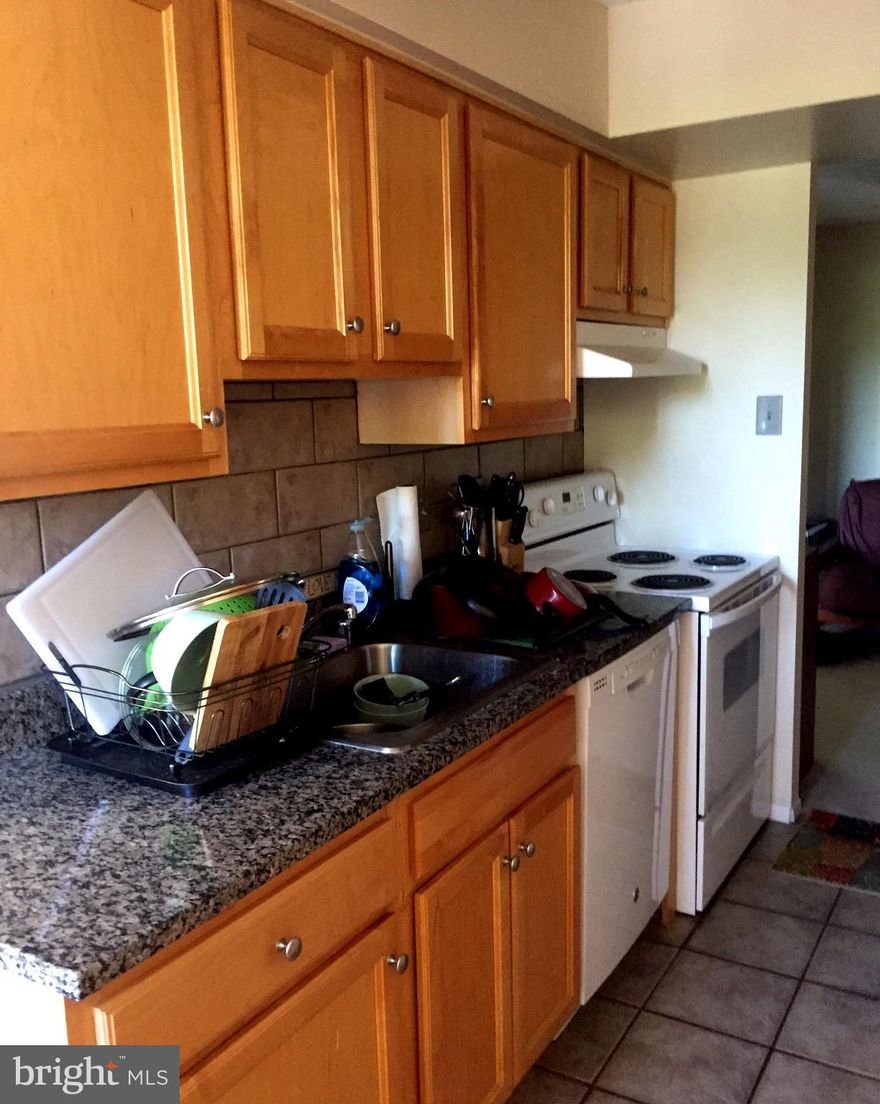 Great 2 bdrm/2 bath condo in 24 hour secure building in convenient Arlington location.  Gourmet kitchen w/ granite countertops, separate dining area, large bright living room, stacked washer dryer, spacious balcony,.  Amenities include exercise room, outdoor pool, billiard room, community center , tennis court, party/meeting room & picnic area.  3.5 miles to Pentagon City metro pets case by case