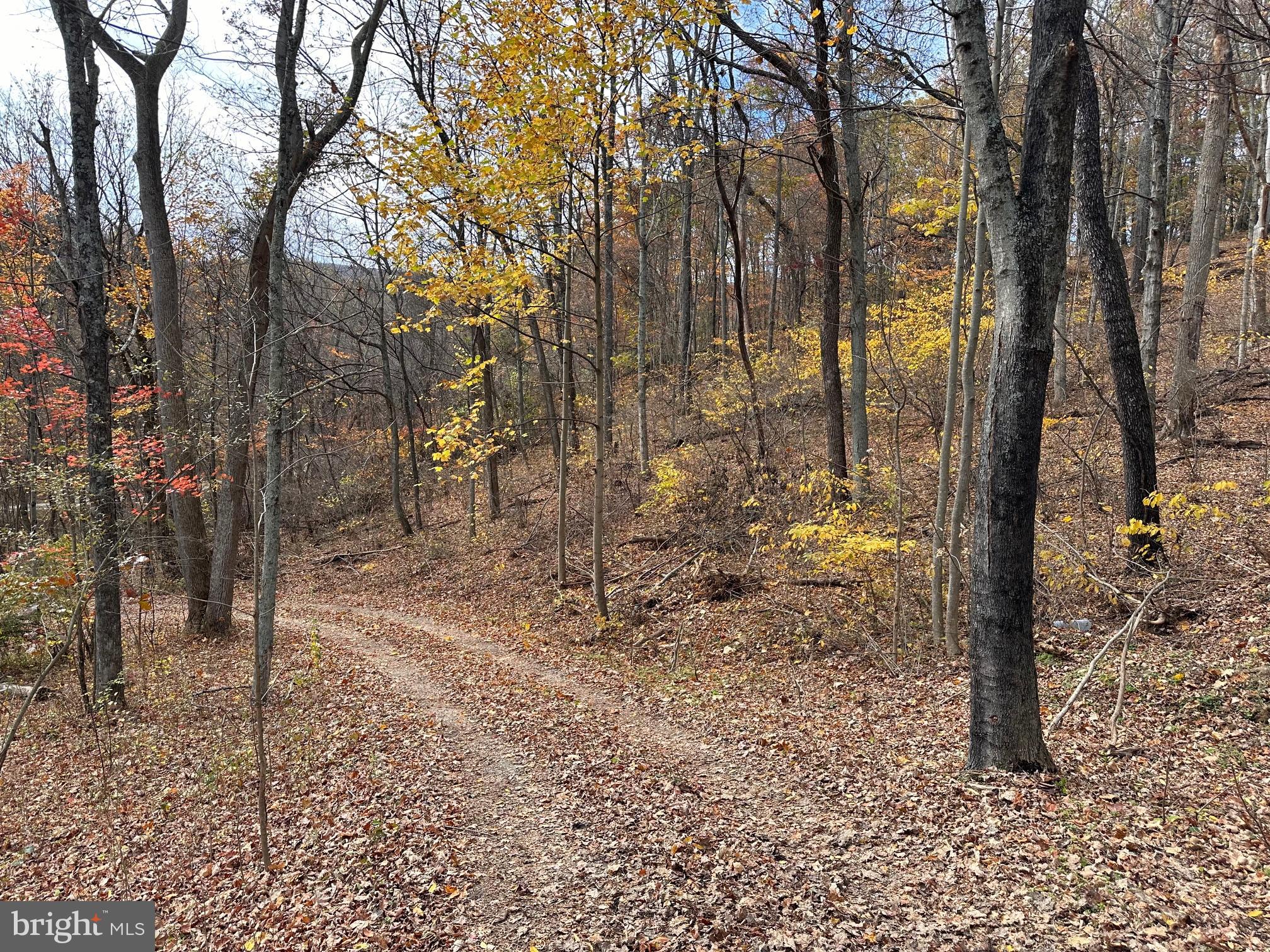 SPRING BROOK ESTATES - Residential