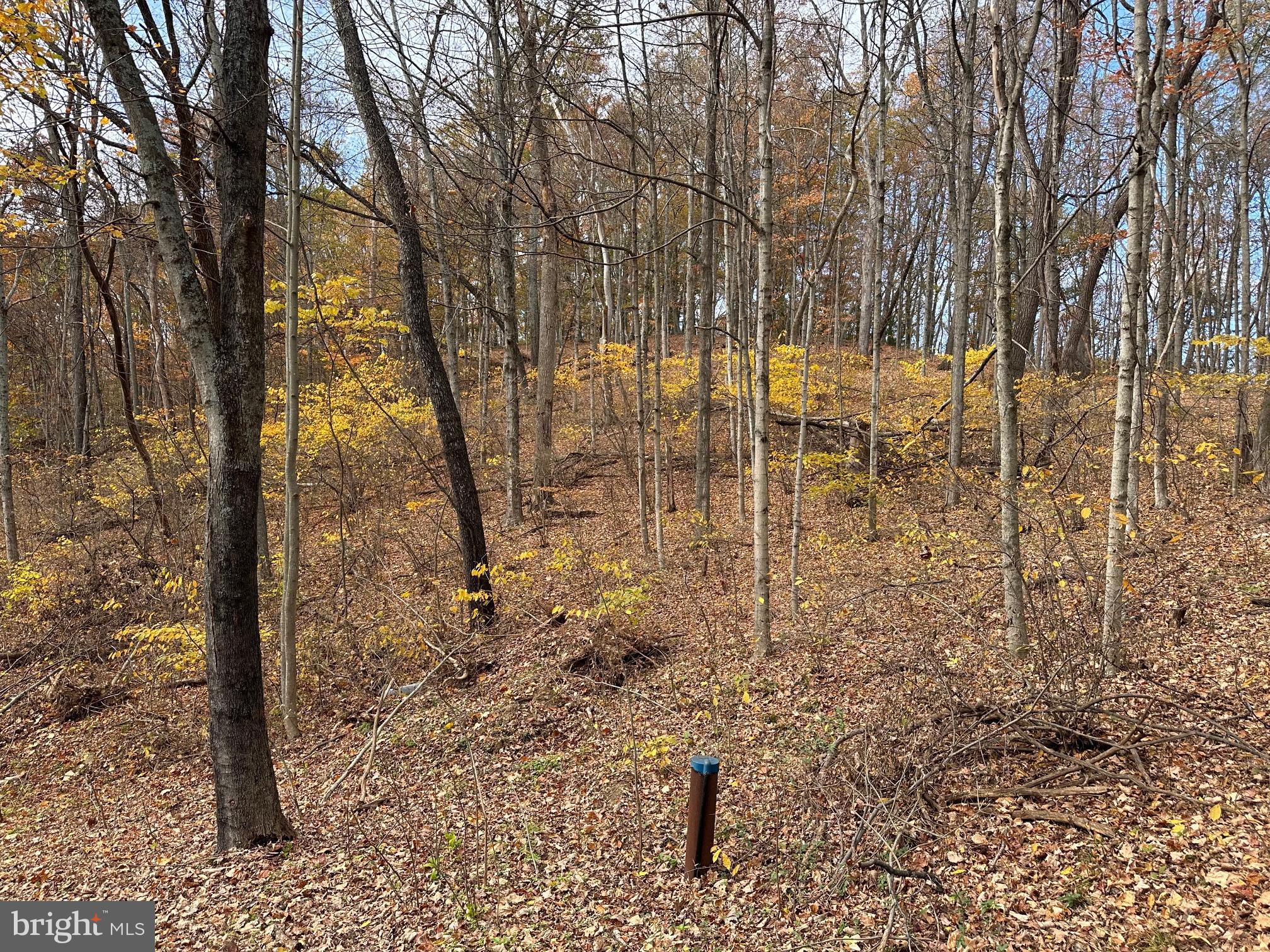 SPRING BROOK ESTATES - Residential