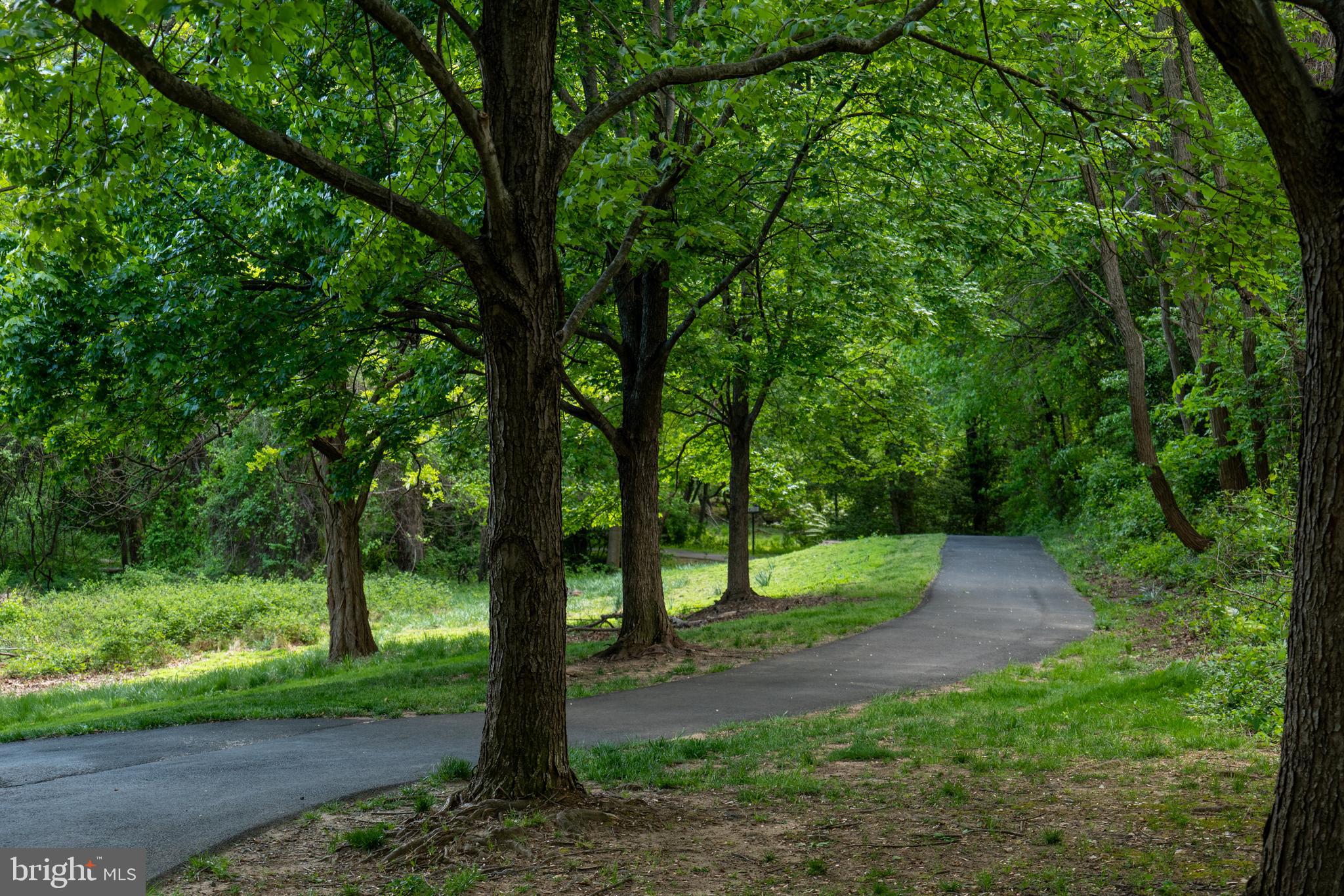 TYSONS VILLAGE - Residential