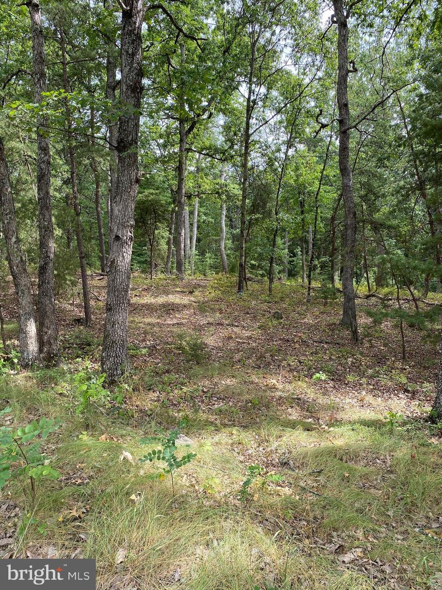 Enjoy this gently sloping wooded 2.12-acre lot in the Dry Run Subdivision. Build your home for full-time living or as a second home to get away for the weekends. Come be surrounded by thousands of acres of public access to hunting, fishing, and hiking trails. It is 40 minutes from Moorefield, WV, Winchester, VA, or Strasburg, VA.