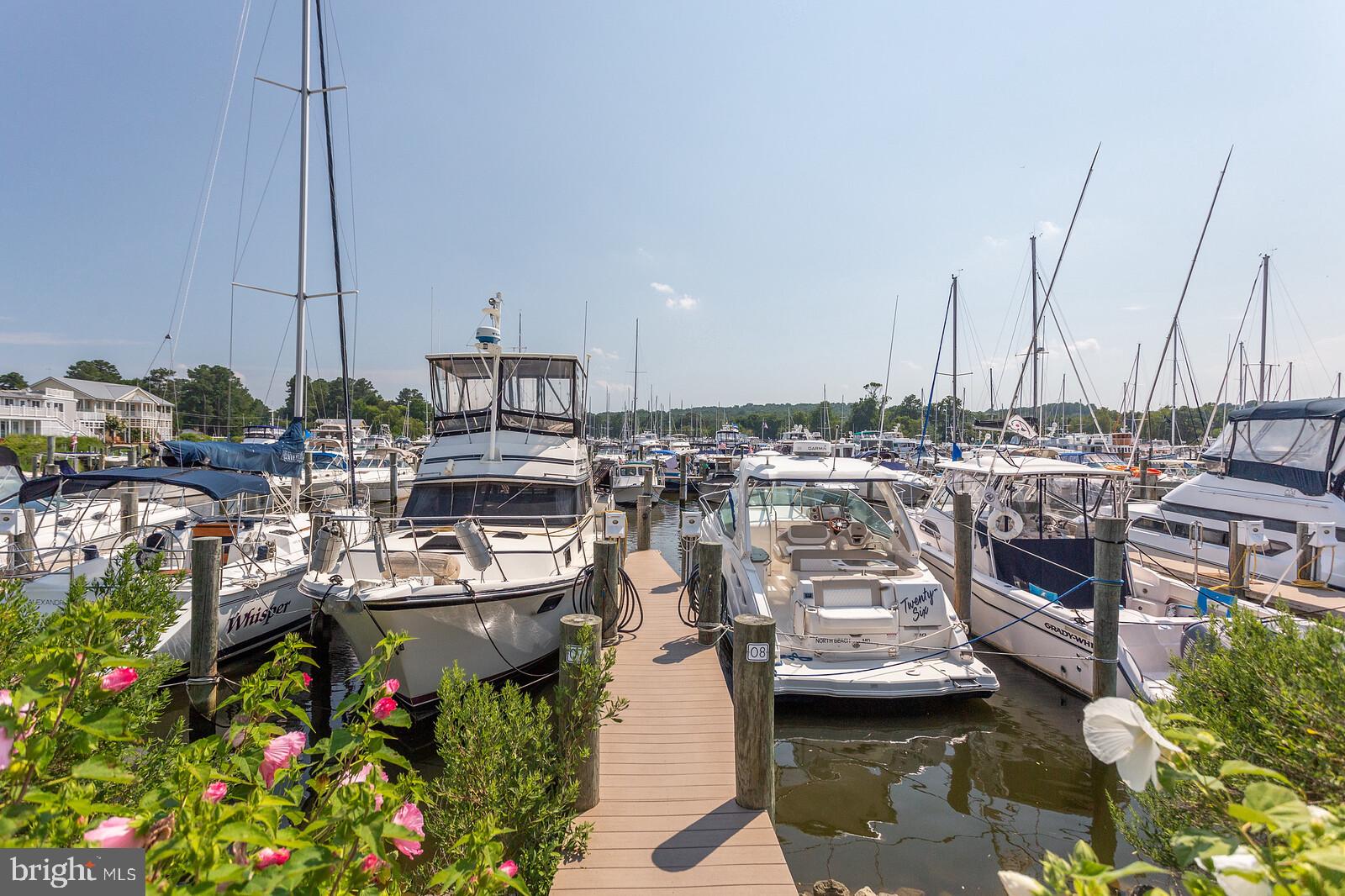 HOLLAND POINT - Residential