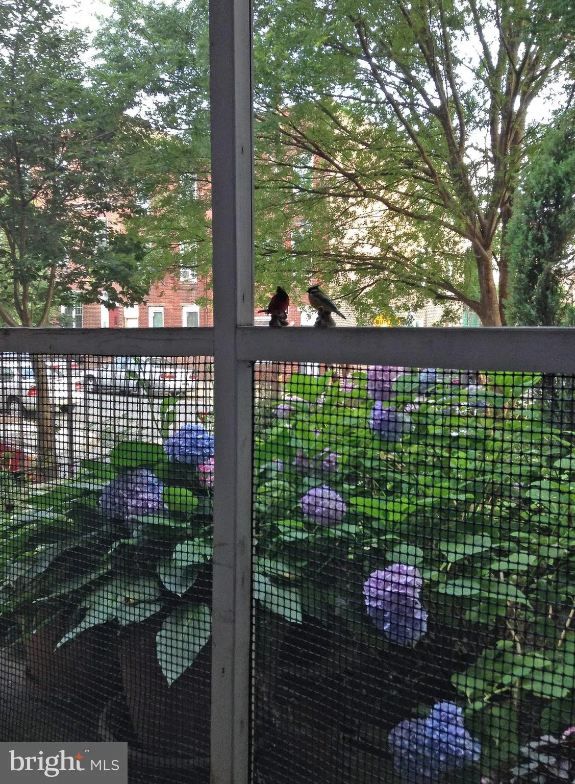 Philadelphia, Pennsylvania 19147, United States, 2 Bedrooms Bedrooms, ,2 BathroomsBathrooms,Residential,Pending,88657