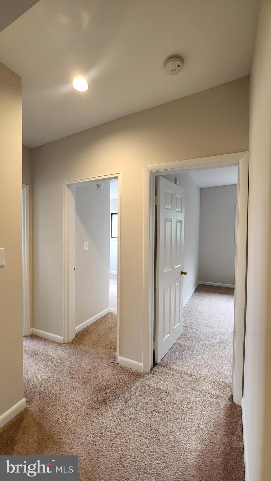 SEMINARY WALK - Residential Lease