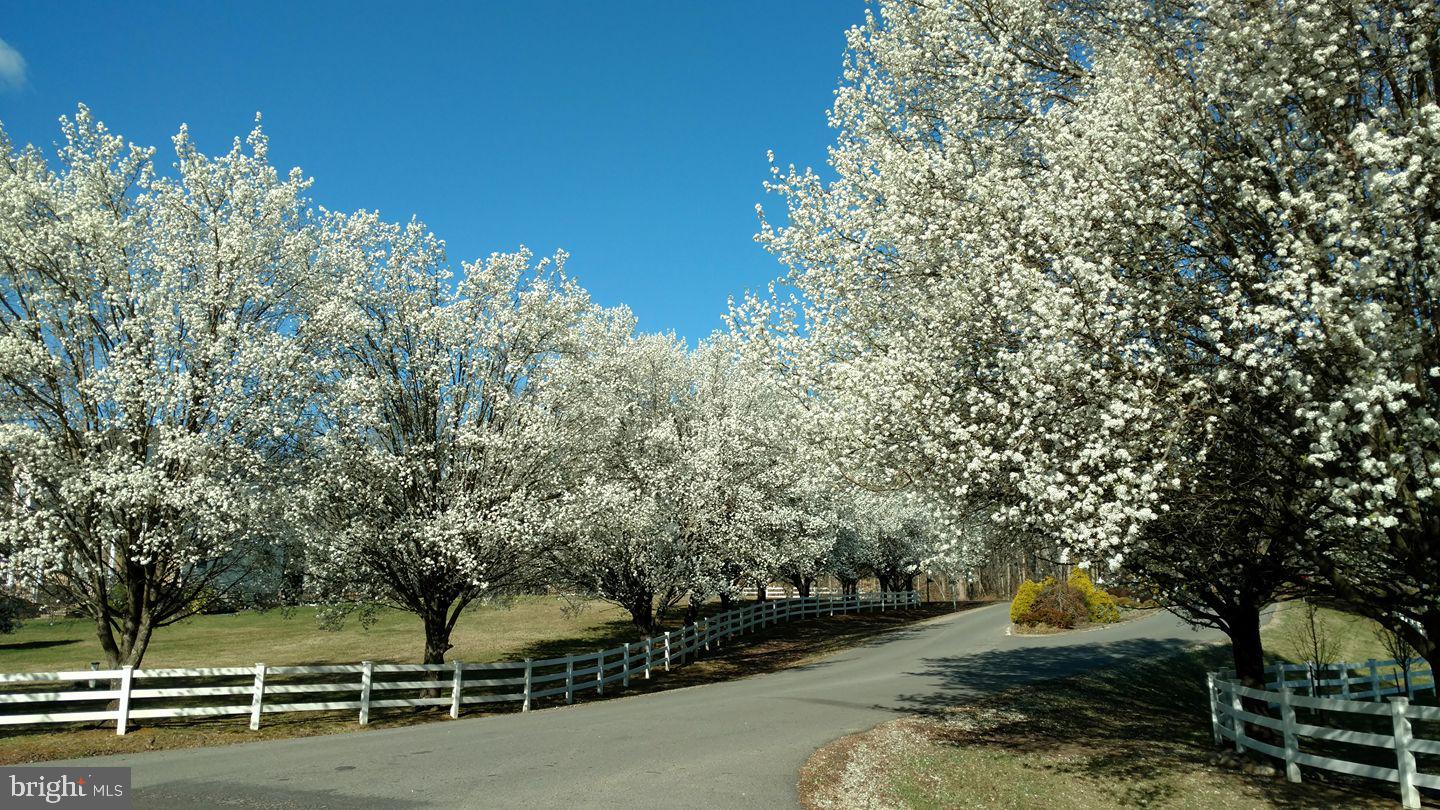 WYNDEMERE - Residential