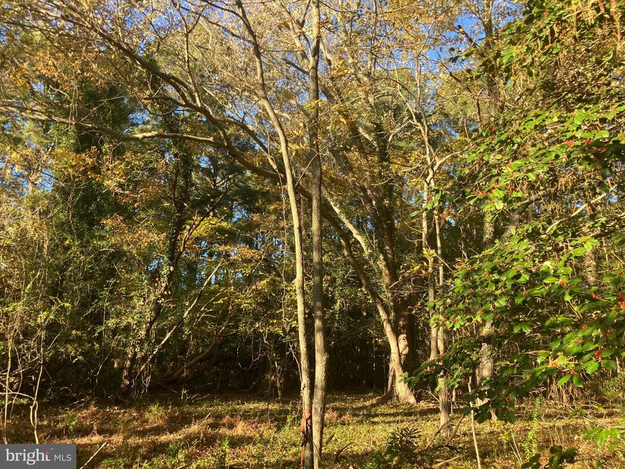 Lovely 1 acre residential lot on Davis Road in Marion Station, Maryland which passes percolation testing.The lot is approved for up to 600 Gallons per day flow and a loading rate of 0.6 Gallons per Day per square foot. The lot may not be subdivided. 

The lot resides within the Chesapeake Bay critical area, as does at least one other neighboring residence on the road, According to Somerset County mitigation plantings are commonly required for development activity within the Critical Area.

The lot owner was told by the county that a traditional single family home as small as 720 square feet might be constructed on the property, and the maximum square footage for a home is significantly more than that.

The lot is located a 10-minute car drive from Crisfield Maryland, with seafood restaurants, boat tours, and a local free dog-friendly bathing beach. It is a 30-minute drive from Salisbury, Maryland with Salisbury University, and a population of 33,000. It is also within an hour's reach of Ocean City, Maryland, Assateague National Seashore's wild ponys, and Chincoteague Island, Virginia.