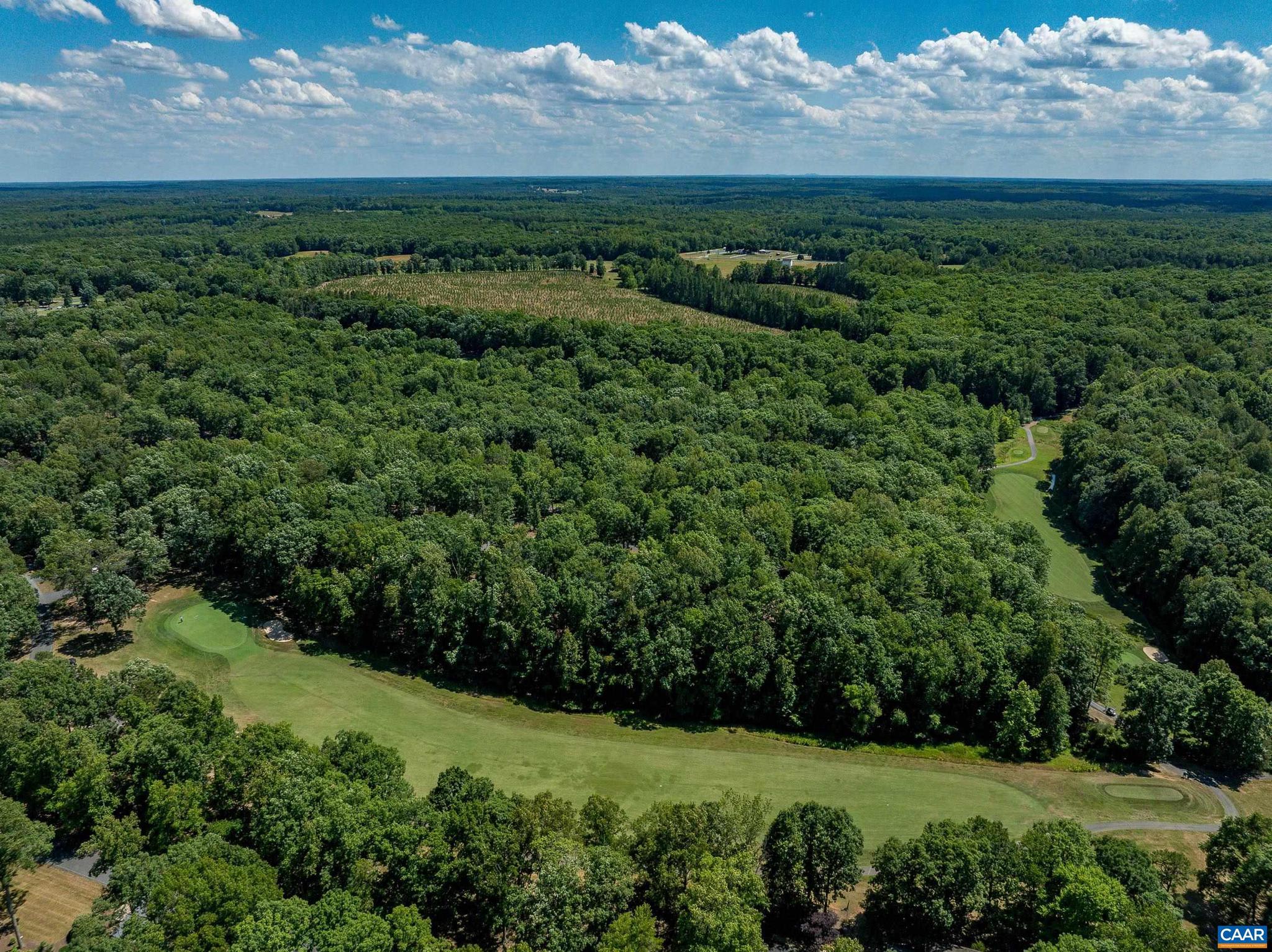 LAKE MONTICELLO - Residential