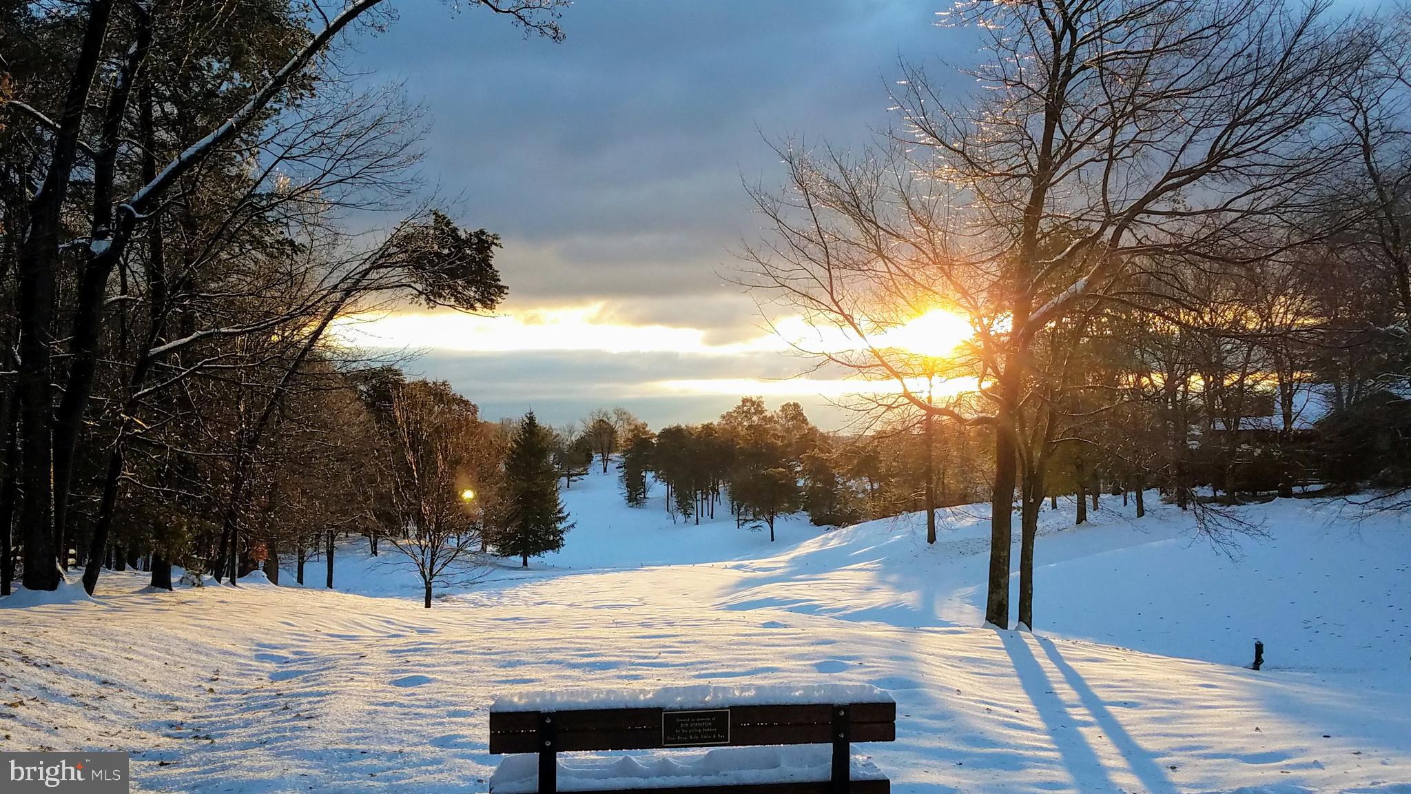 THE WOODS - Residential