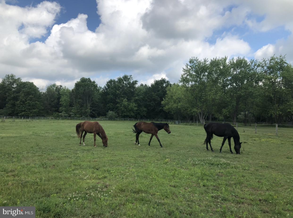 PLUMSTEAD - Residential