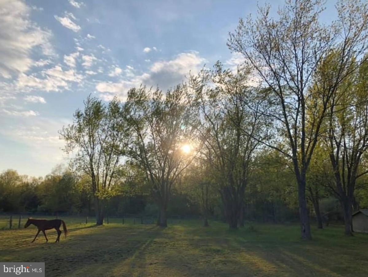 PLUMSTEAD - Residential