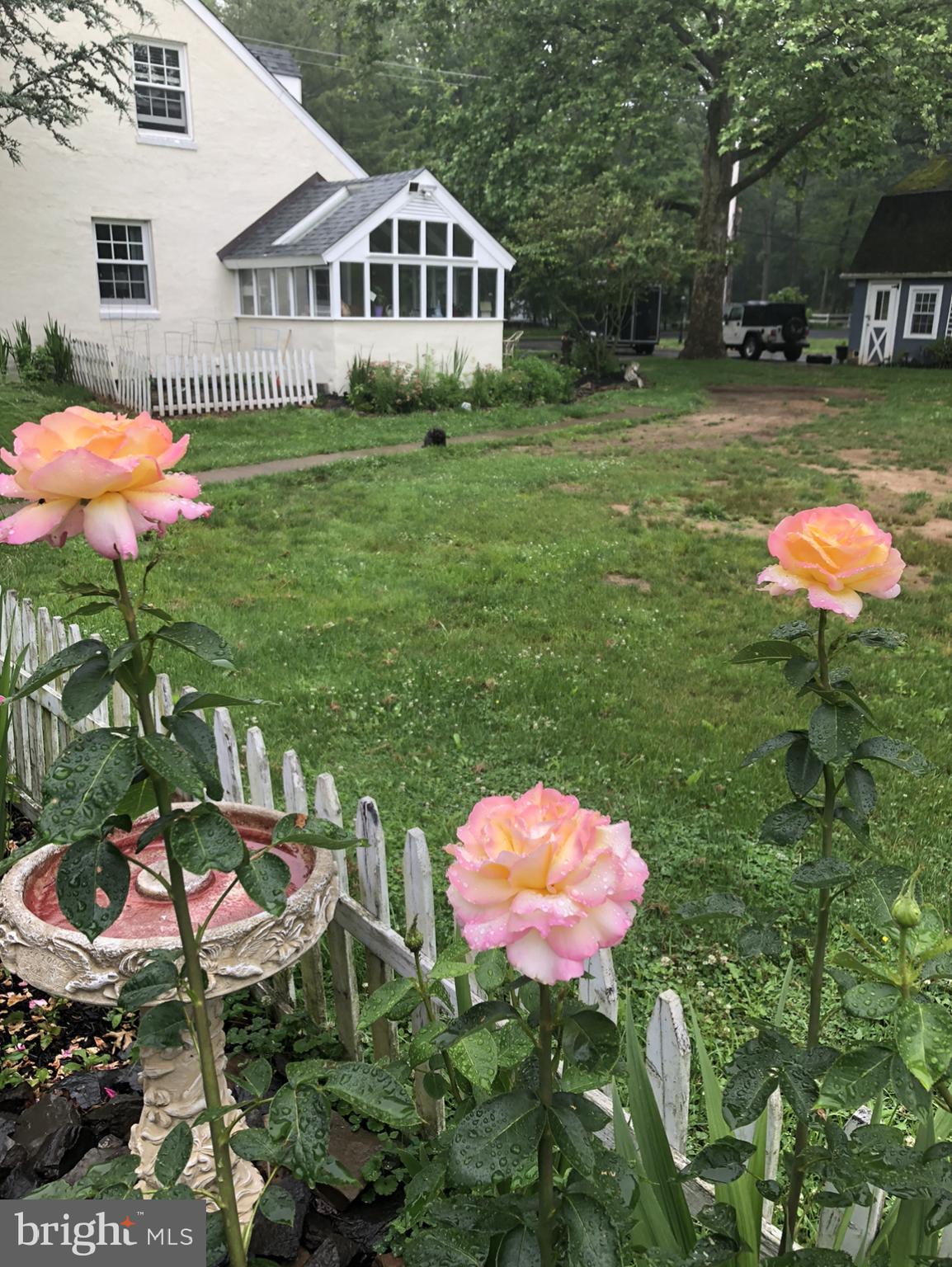 PLUMSTEAD - Residential