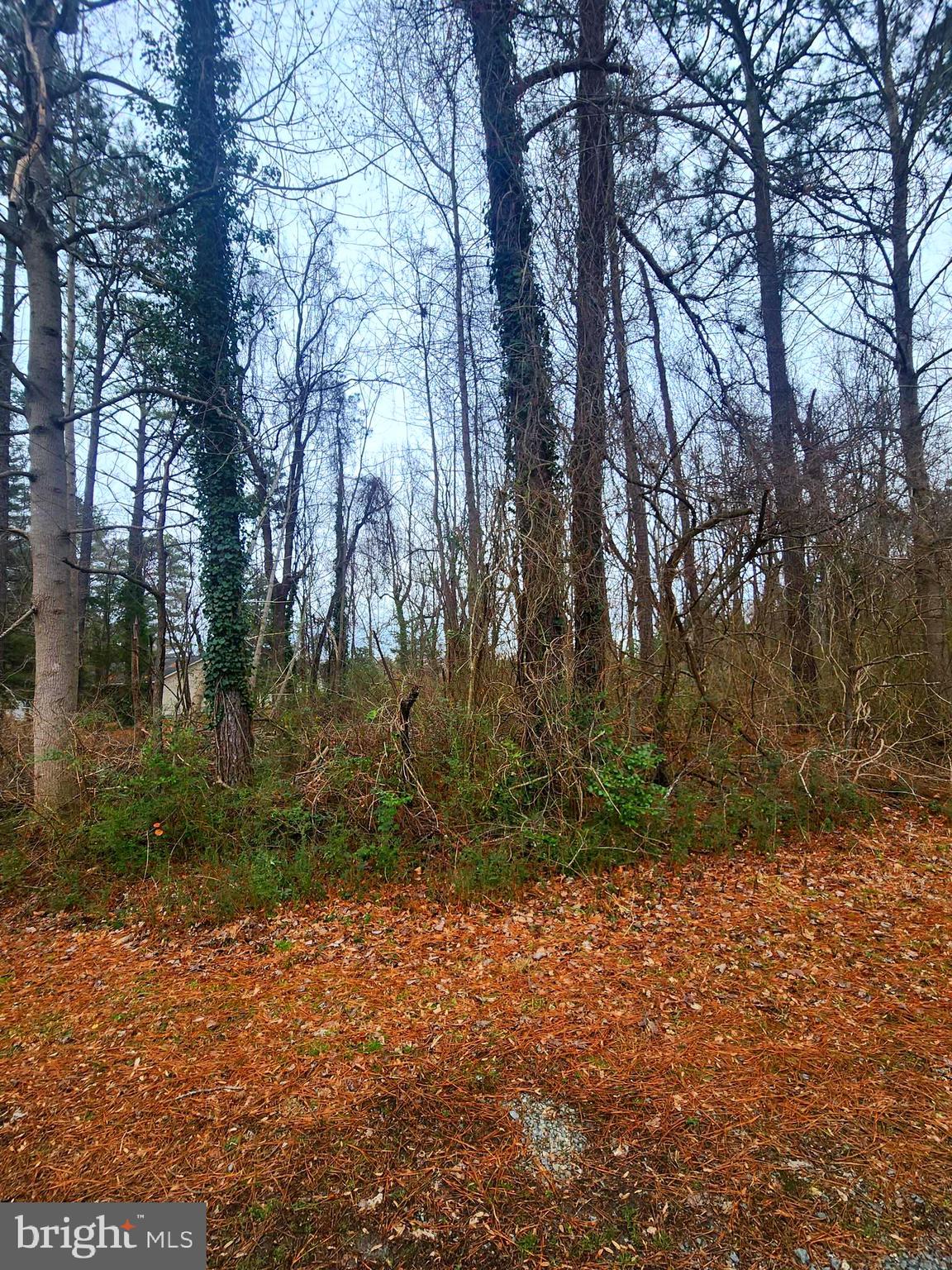 CORROTMAN BY THE BAY - Land