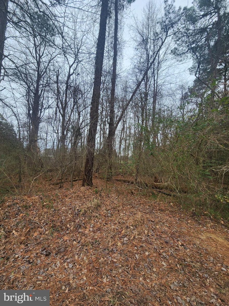 Exceptional opportunity to build your dream home on this spacious waterfront community lot in the highly desirable Corrotoman By The Bay subdivision in Lancaster, VA. This offering consists of Parcel #20D-3-613, one of two connected parcels totaling prime residential land in a vibrant, amenity-rich community. Located just minutes from scenic water access and charming Northern Neck towns like Kilmarnock and Irvington, this property combines peaceful rural living with recreational lifestyle convenience.

Corrotoman By The Bay is a well-established, waterfront community along the Western Branch of the Corrotoman River that offers a wide array of recreational and social amenities for residents in good standing. Community highlights include a large 80,000-gallon saltwater swimming pool, clubhouse with pavilion and common grounds, 9-hole golf course, tennis/pickleball courts, frisbee golf, and more. A boat ramp, dock with boat slip rentals, and kayak rack rentals provide excellent access to the Corrotoman River — ideal for fishing, boating, crabbing, and exploring the Chesapeake Bay waterways.

Enjoy the best of water community living with active community features such as tennis and pickleball courts, park and playground areas for family fun, and regular community events. With community water available and natural surroundings teeming with wildlife and scenic views, this lot presents a rare chance to build a custom home in a setting that offers both tranquility and lifestyle amenities.

Seller Incentive: Seller will include tree clearing to the buyer, making this lot ready for your vision and building plans.

Don’t miss this chance to secure a prime piece of Corrotoman By The Bay — where community amenities, waterfront lifestyle, and natural beauty come together.