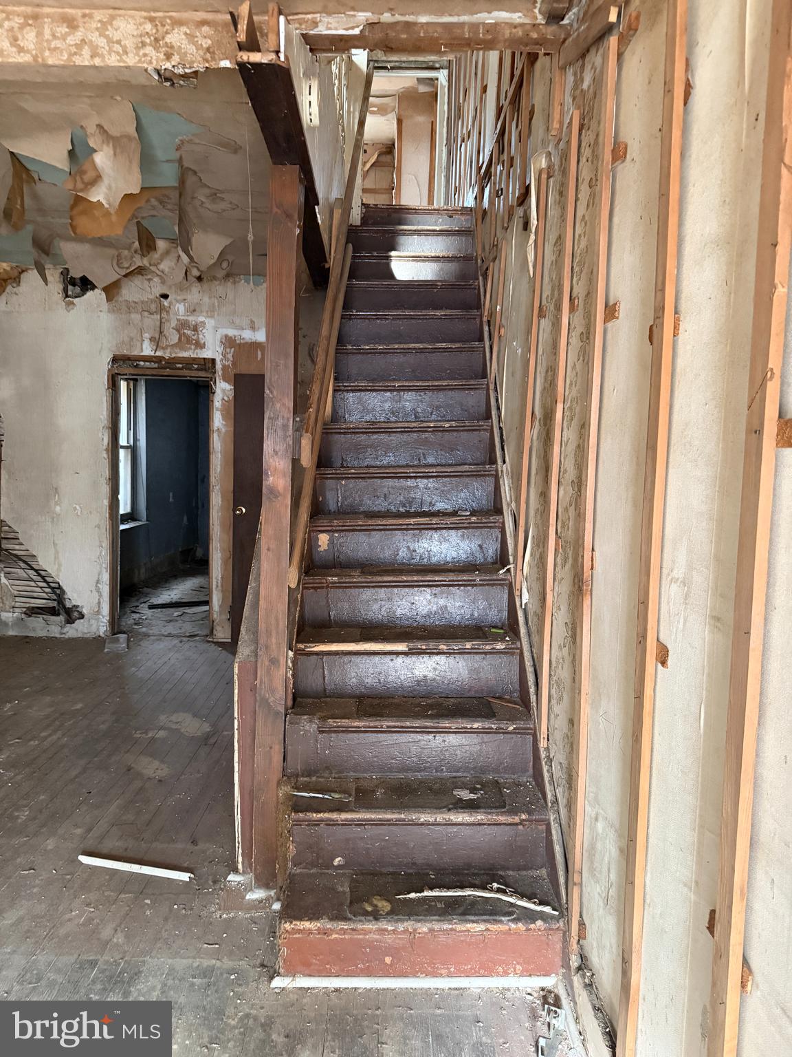 ELMWOOD PARK - Residential