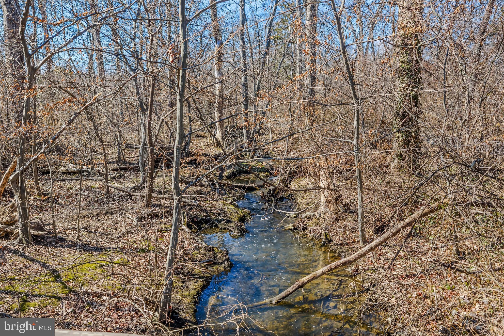 ASHBURN FARM - Residential