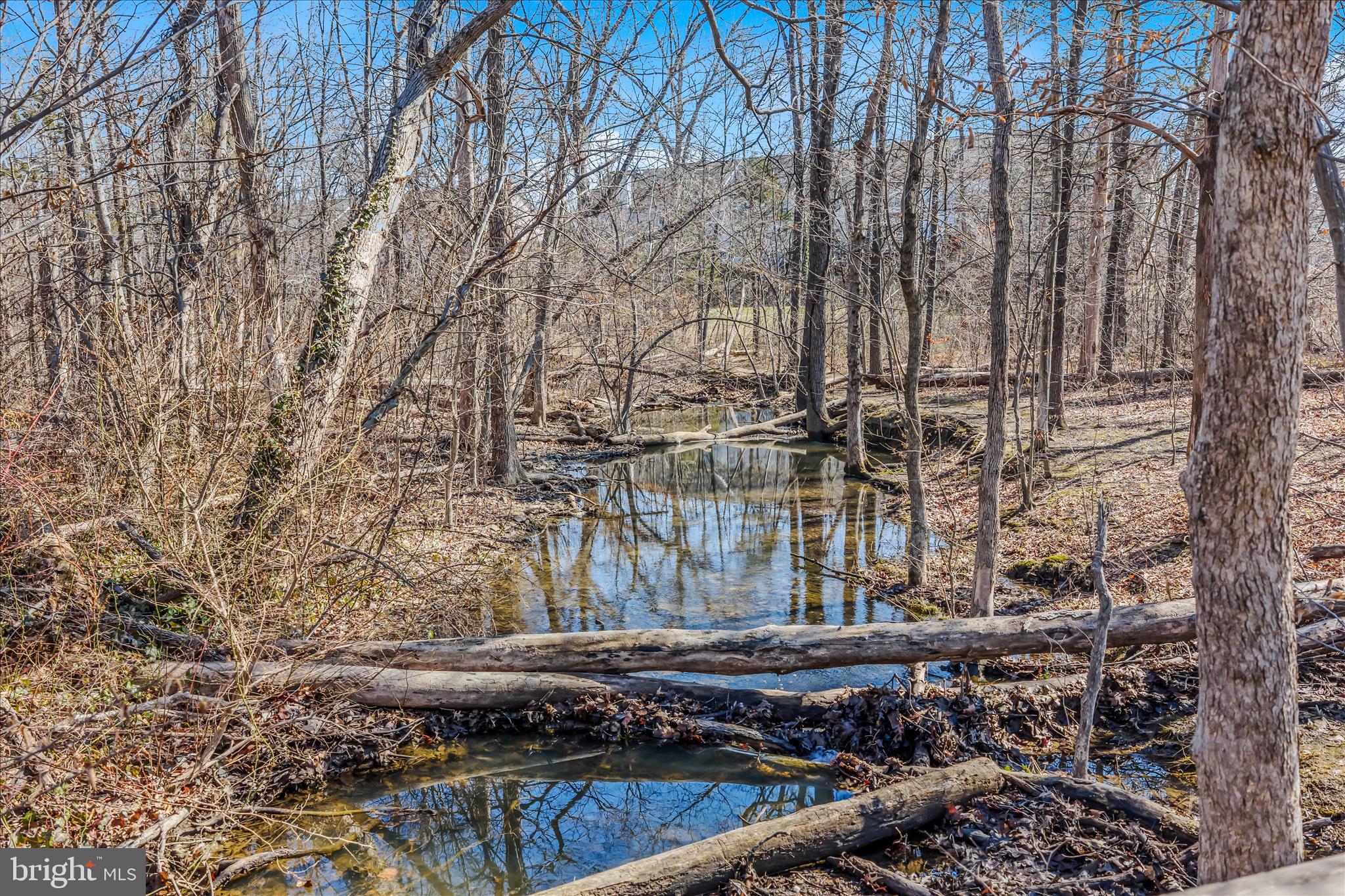 ASHBURN FARM - Residential