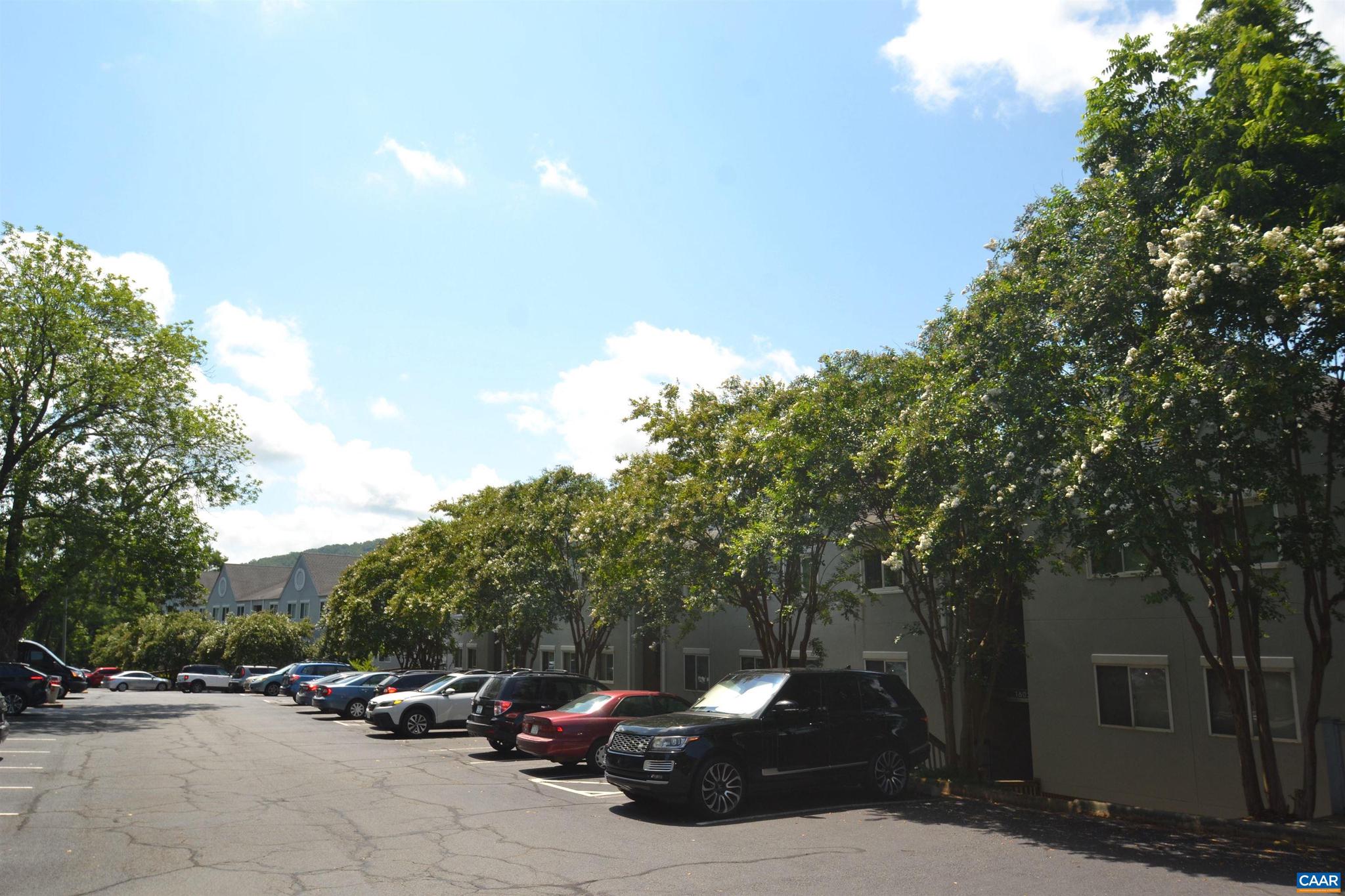 MONTICELLO OVERLOOK CONDOMINIUMS - Residential