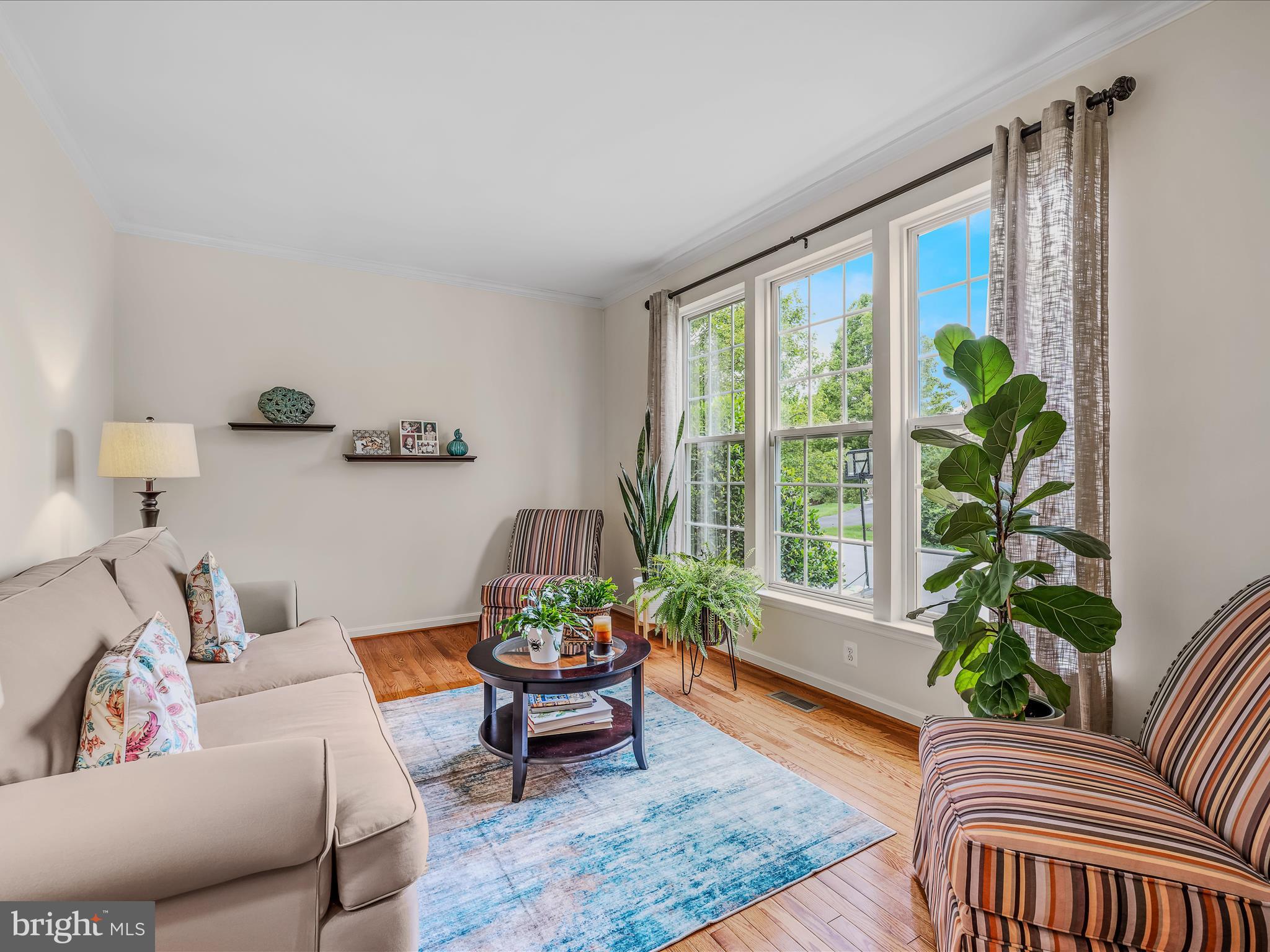 THE VILLAGE OF WASHINGTON TRAIL - Residential