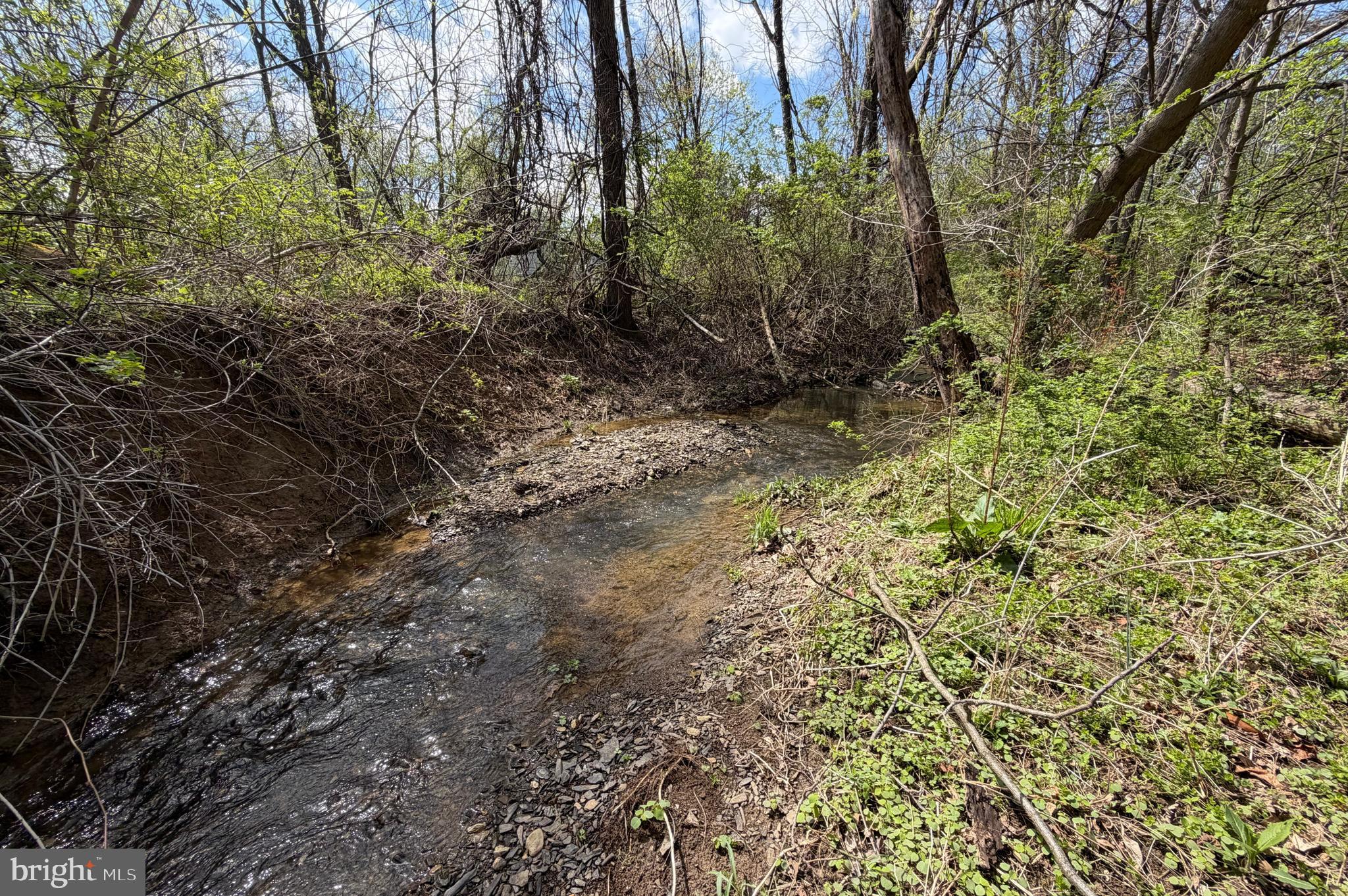 WILLOWDALE - Residential