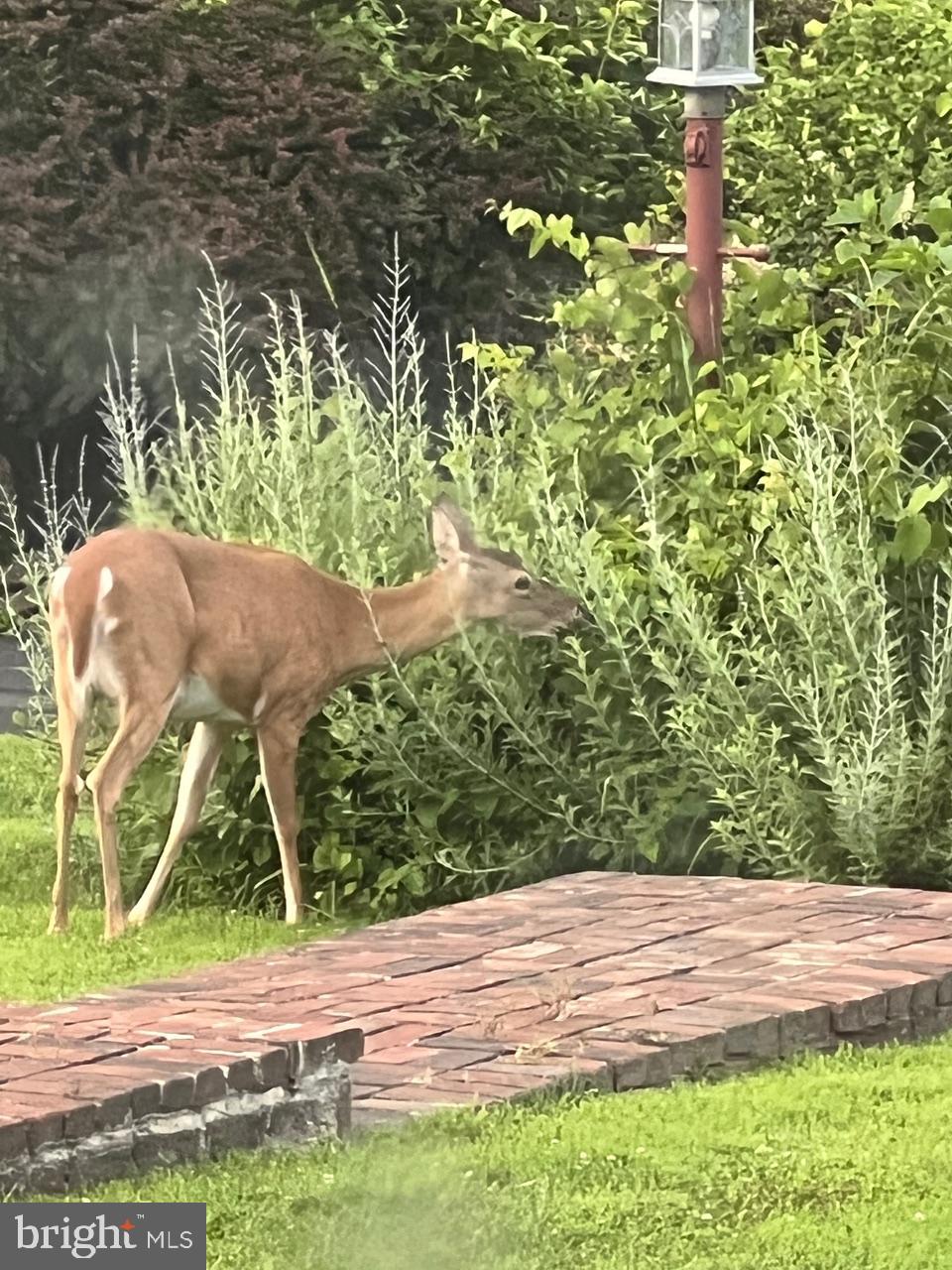 ENGLISH HILLS - Residential