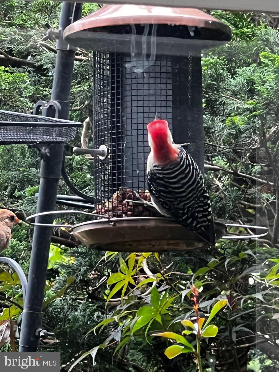 ENGLISH HILLS - Residential