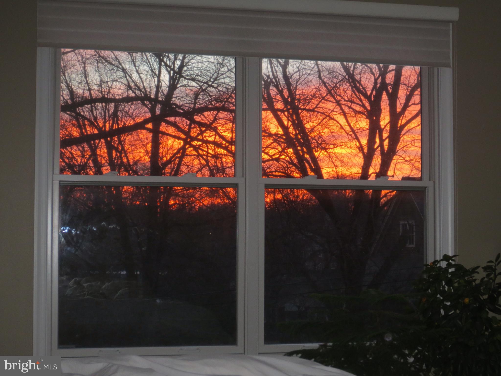 BERKSHIRE GARDENS - Residential Lease